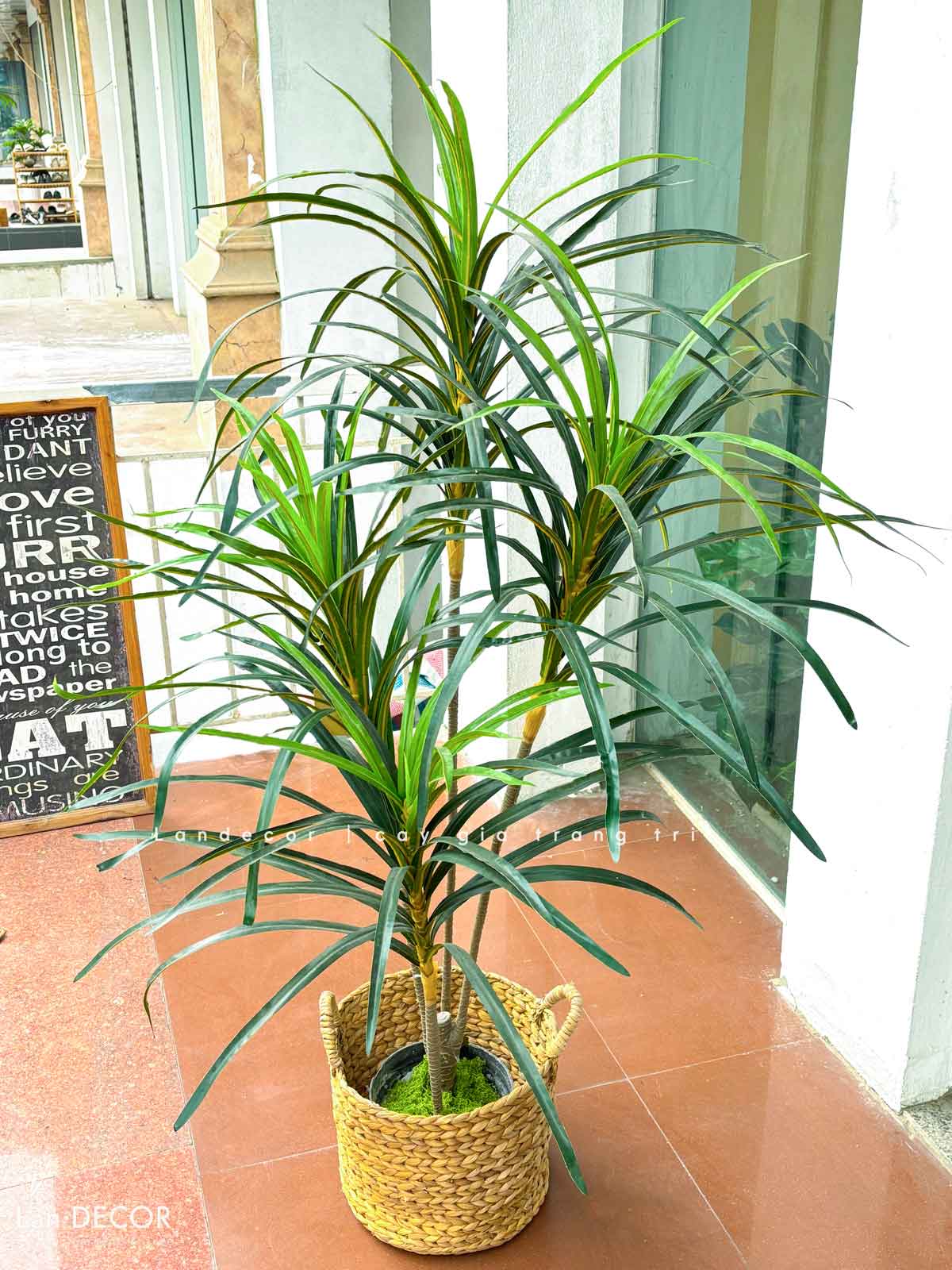Cây Giả Trang Trí- Cây Phất Dụ, Cây Phú Quý Decor Nội Thất (125cm) - LC2902-3
