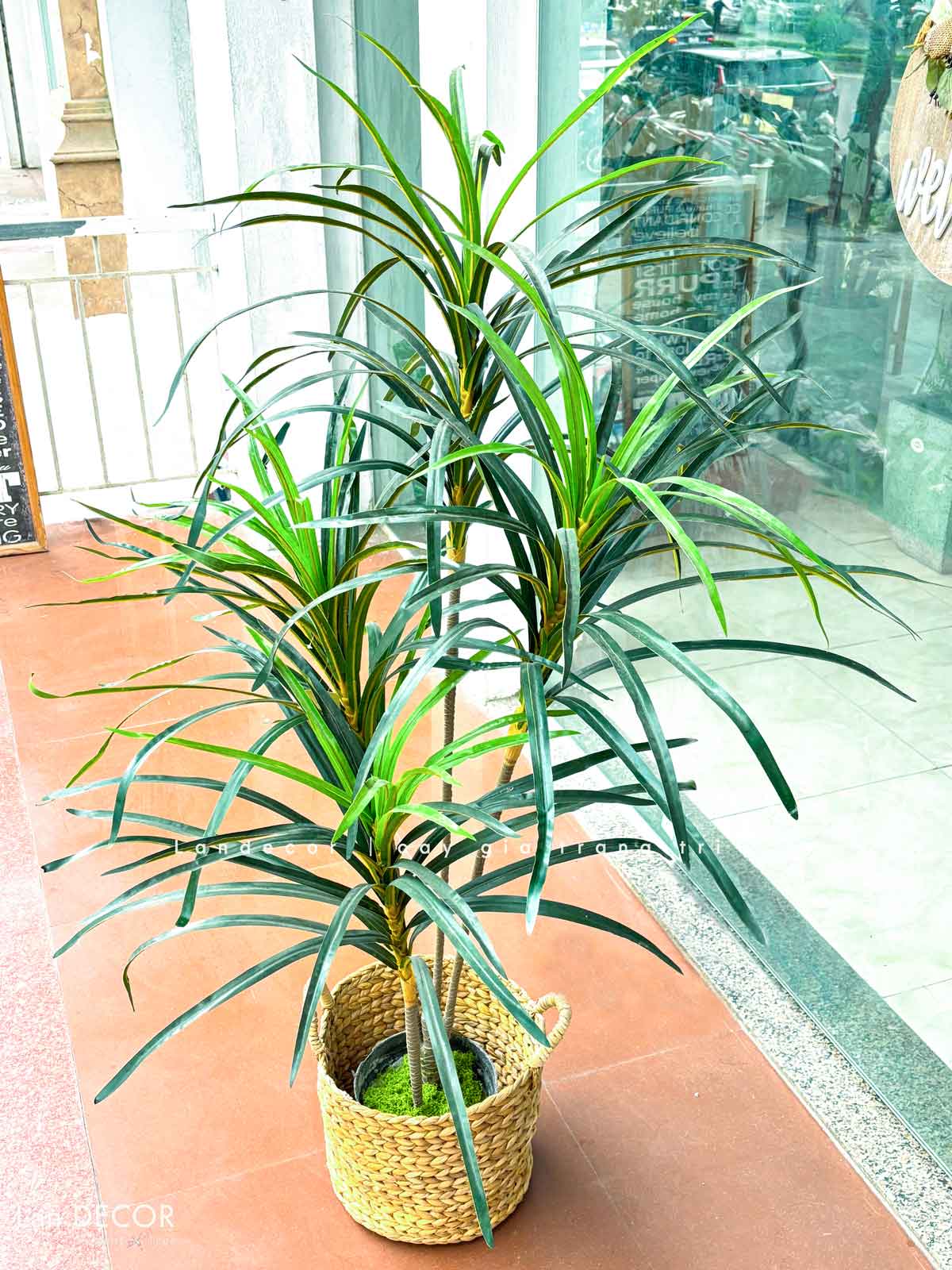 Cây Giả Trang Trí- Cây Phất Dụ, Cây Phú Quý Decor Nội Thất (125cm) - LC2902-3