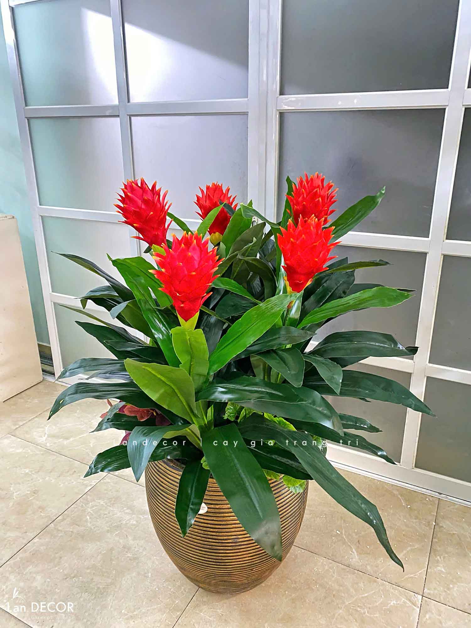 Cây Giả Decor- Cây Phát Lộc Hoa Đỏ Trang Trí Không Gian Sống Động (cao 120cm, tán 65cm)- CC1132
