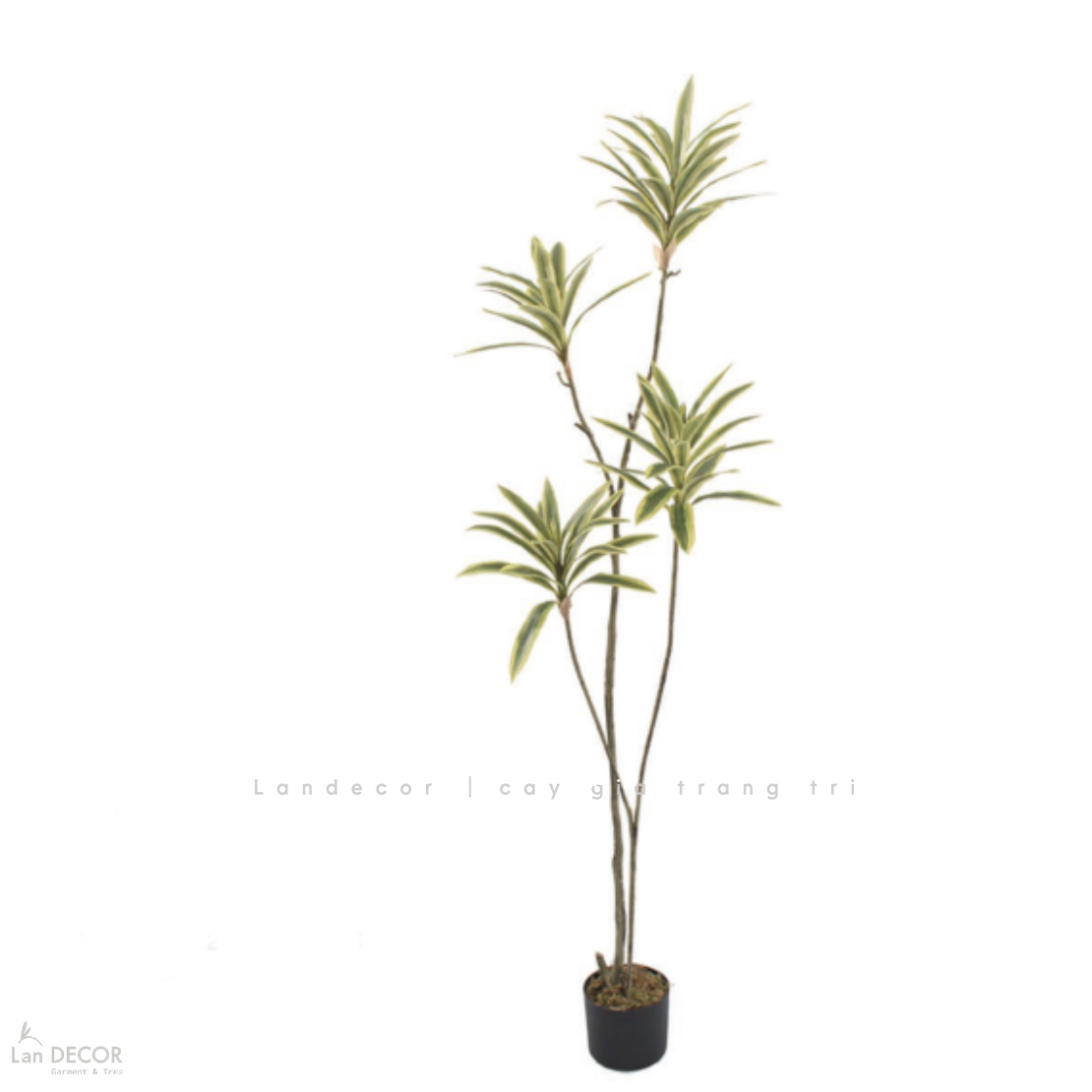 Cây Lá Giả- Cây Thiết Mộc Lan Giả 4 Nhánh Trang Trí Căn Hộ Kiểu Mới (160cm)- LC3736