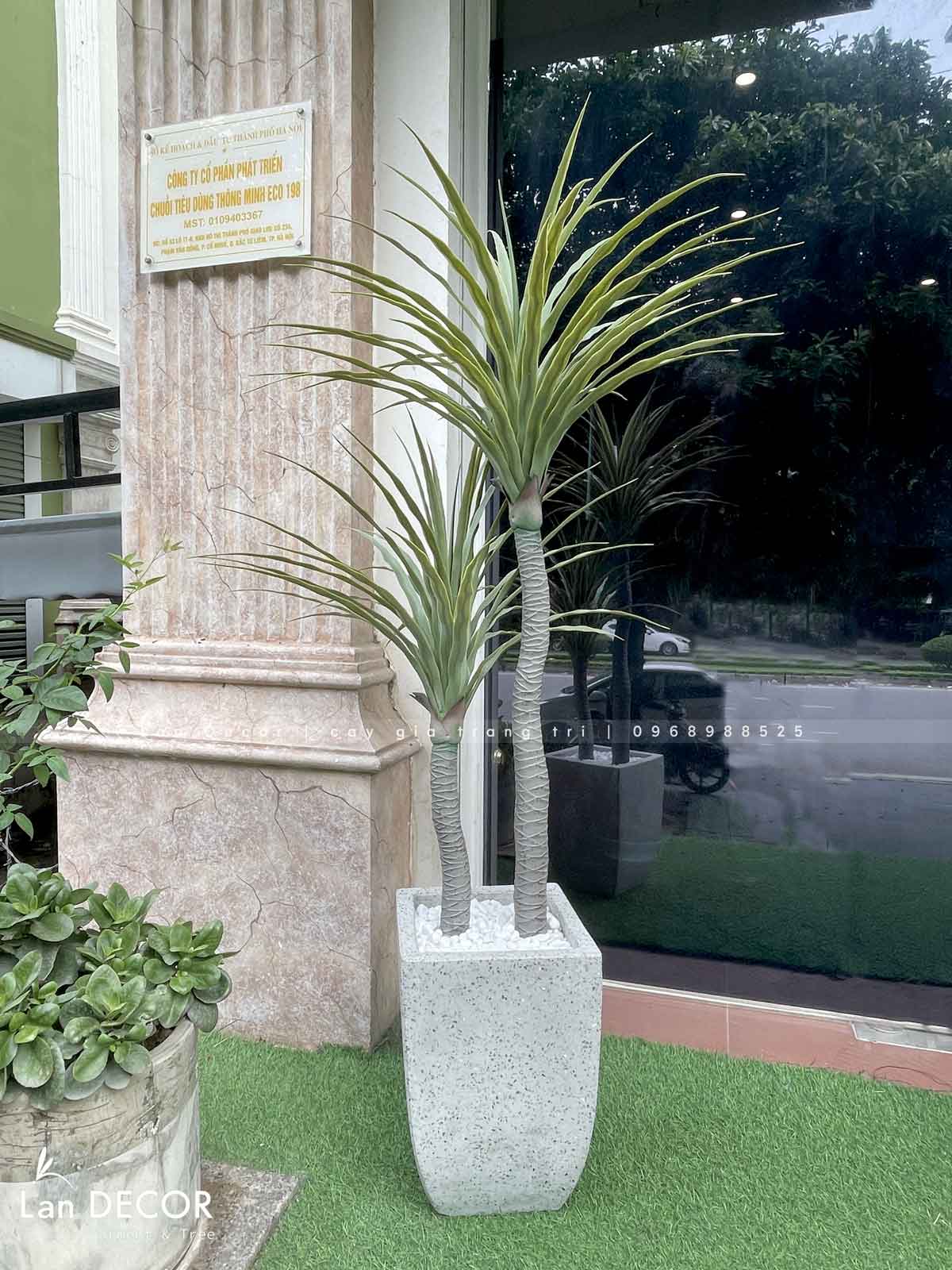 Cây Giả Decor- Cây Phát Tài Núi Trang Trí Tiểu Cảnh (135cm)- LC3040