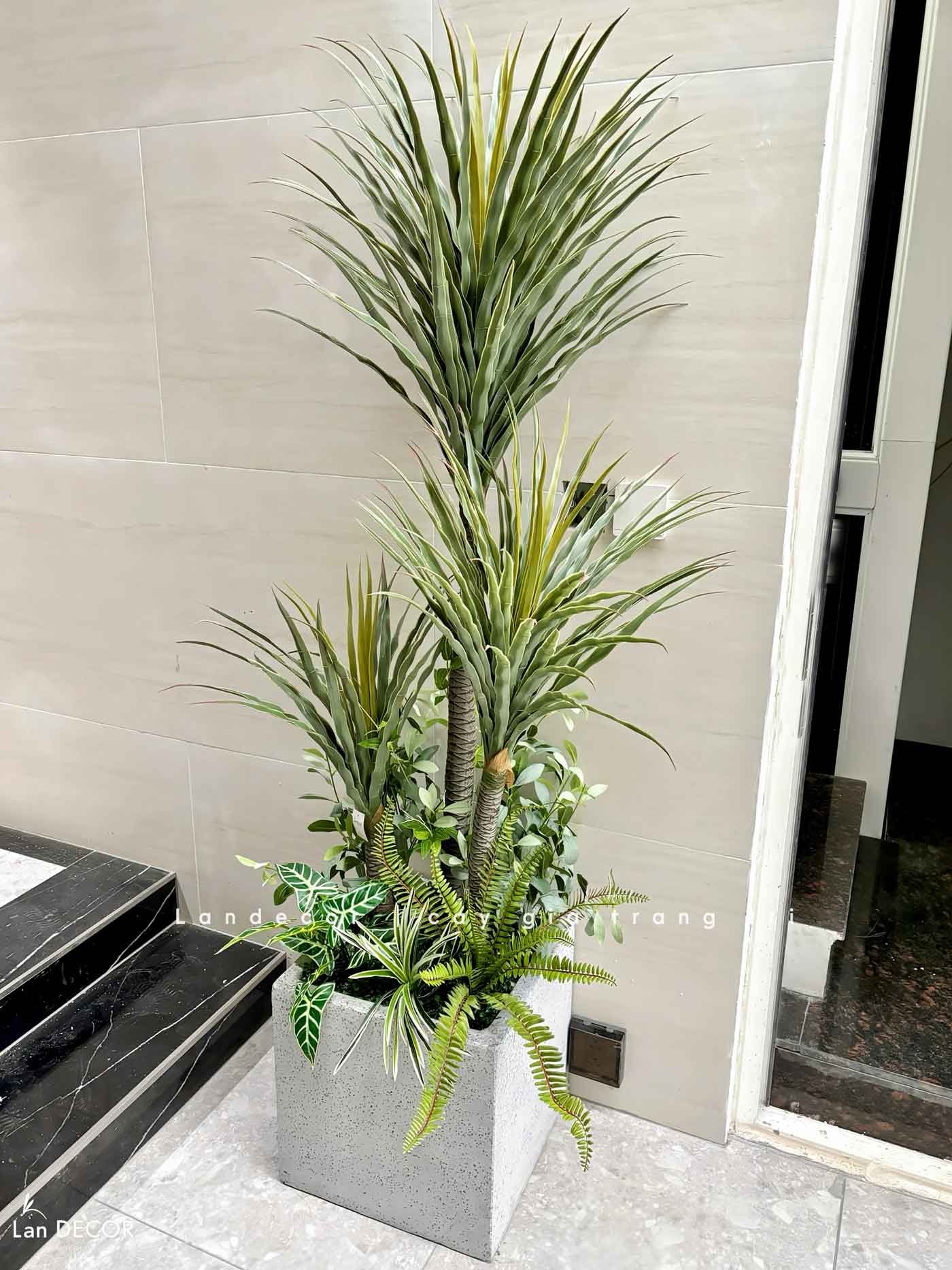 Cây Giả- Cây Phát Tài Núi Giả Decor Văn Phòng Công Ty, Cửa Hiệu (180cm)- LC3159-5