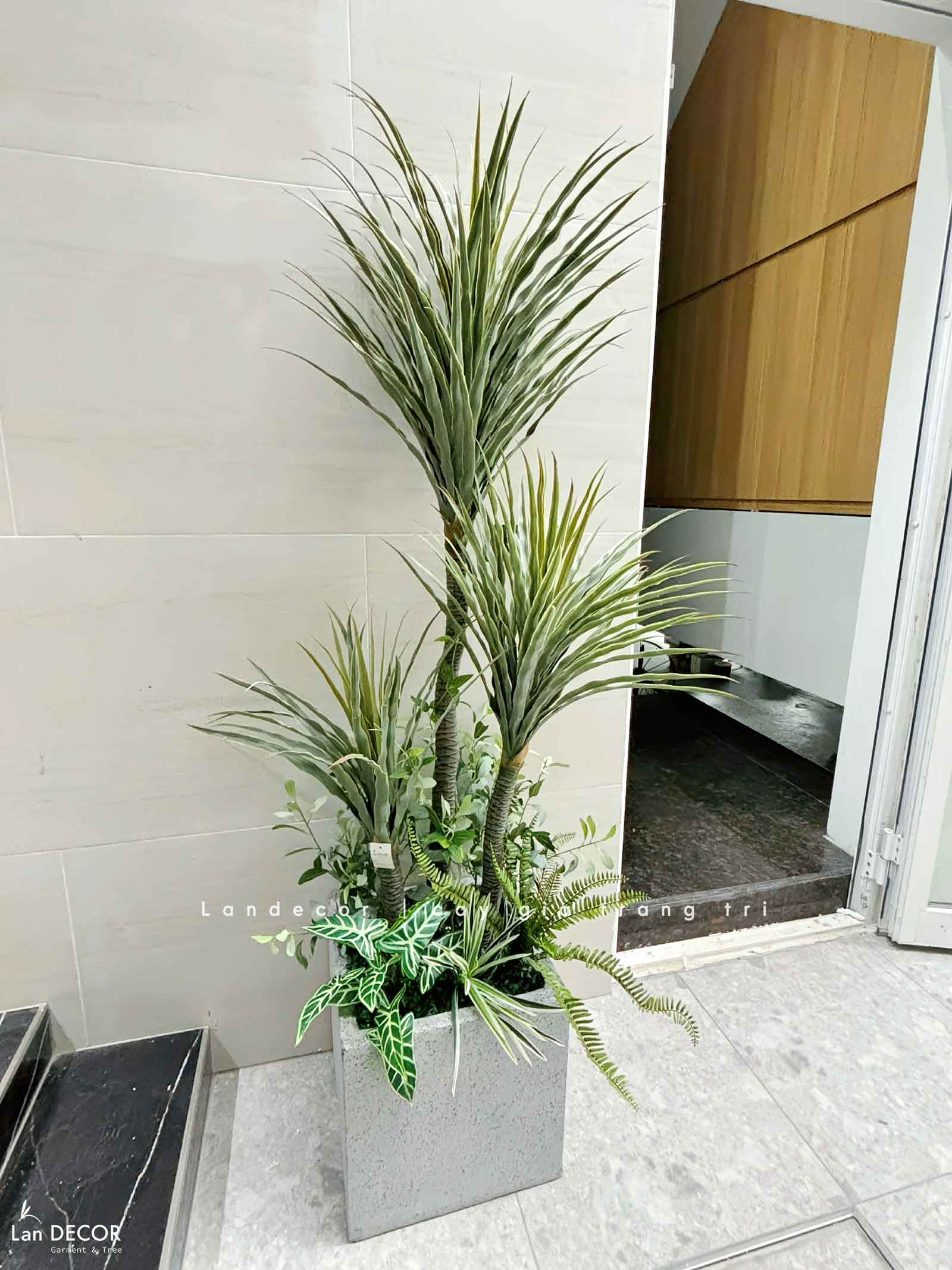 Cây Giả- Cây Phát Tài Núi Giả Decor Văn Phòng Công Ty, Cửa Hiệu (180cm)- LC3159-5