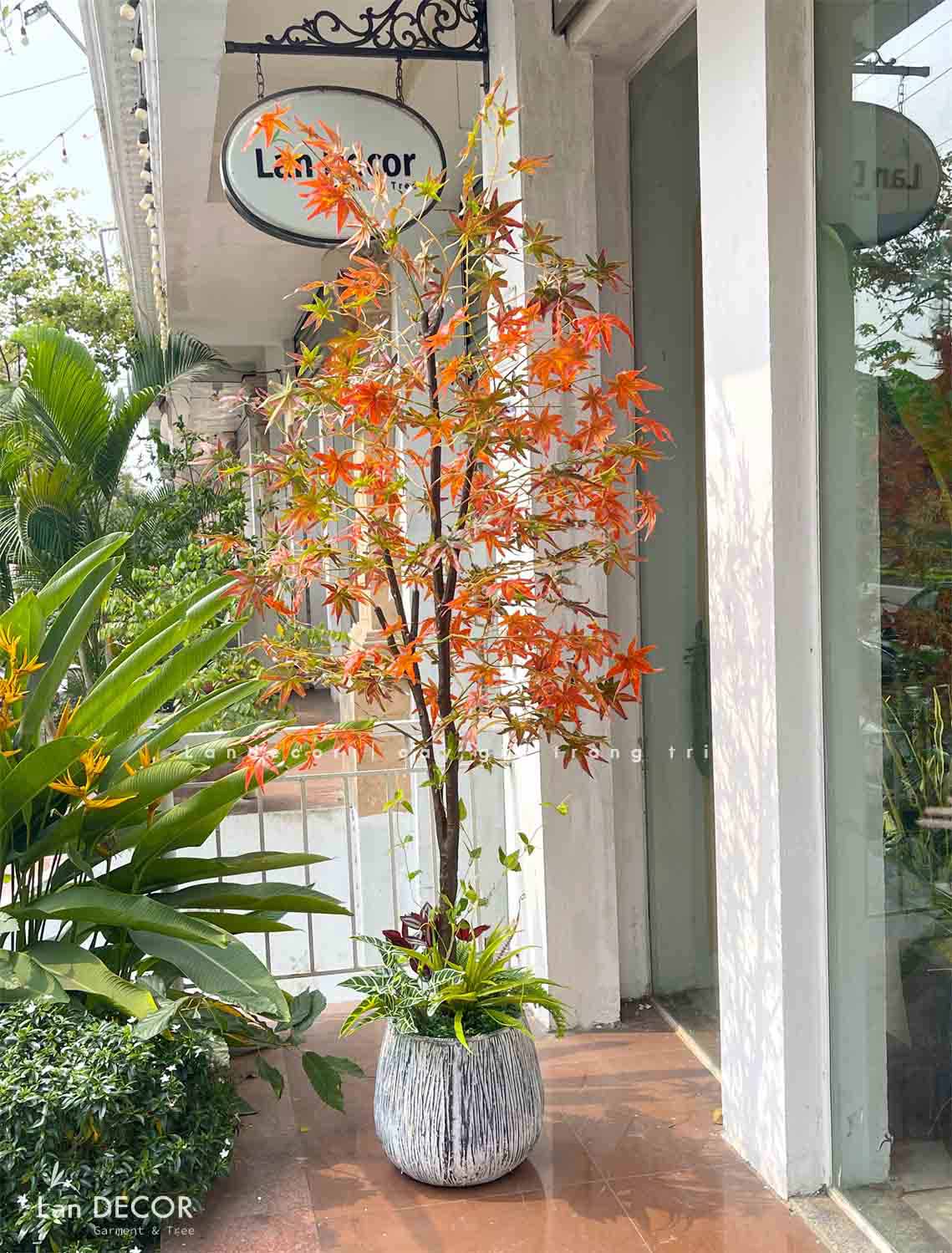 CÂY PHONG TRANG TRÍ NHÀ ĐẸP LANDECOR (190cm) - CC441