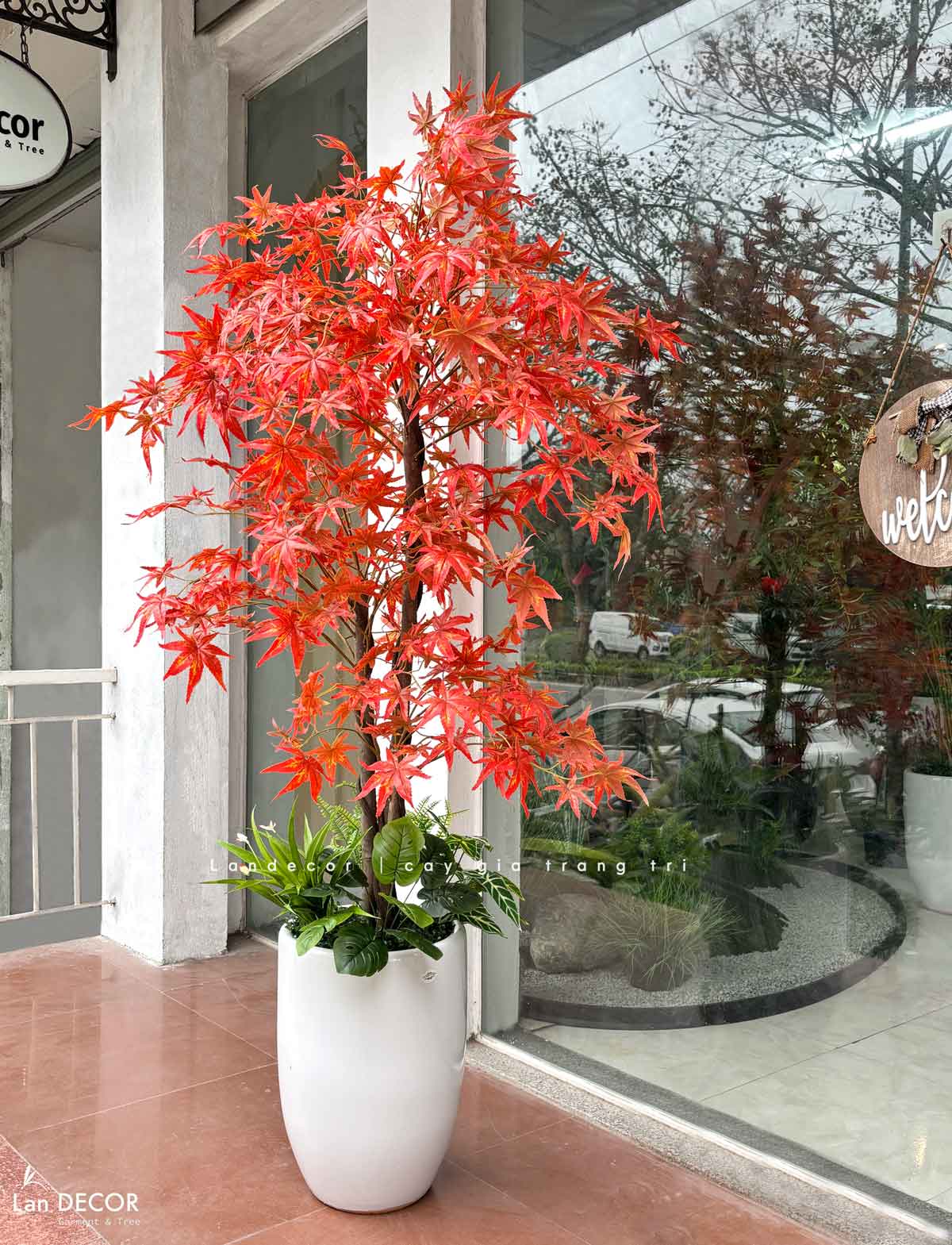 Cây phong lá đỏ trang trí nội thất đẹp (165cm)- LC2787