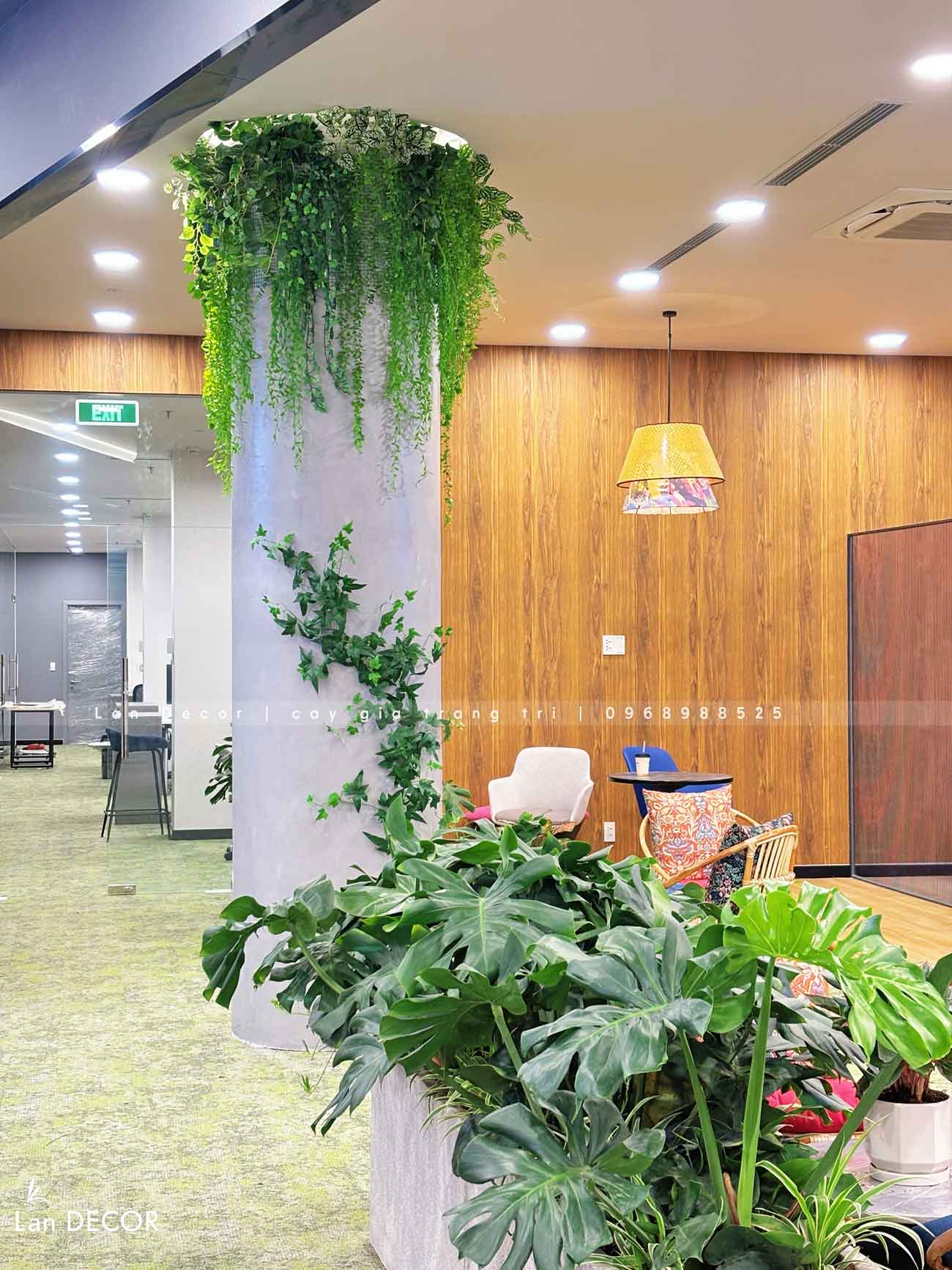 Thiết Kế, Thi Công Tiểu Cảnh Cây Leo Rủ, Kiến Tạo Văn Phòng Xanh - Văn Phòng Vikki Hà Nội