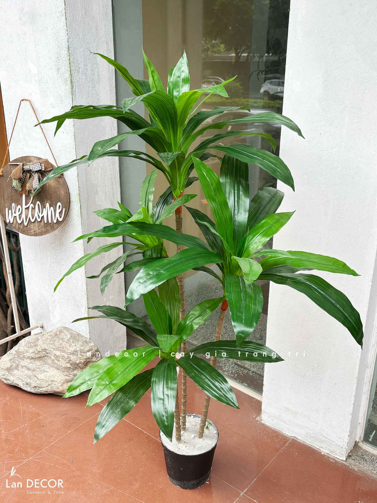 Cây Giả - Cây Tài Lộc Giả Decor Tiểu Cảnh (120cm)- LC3232