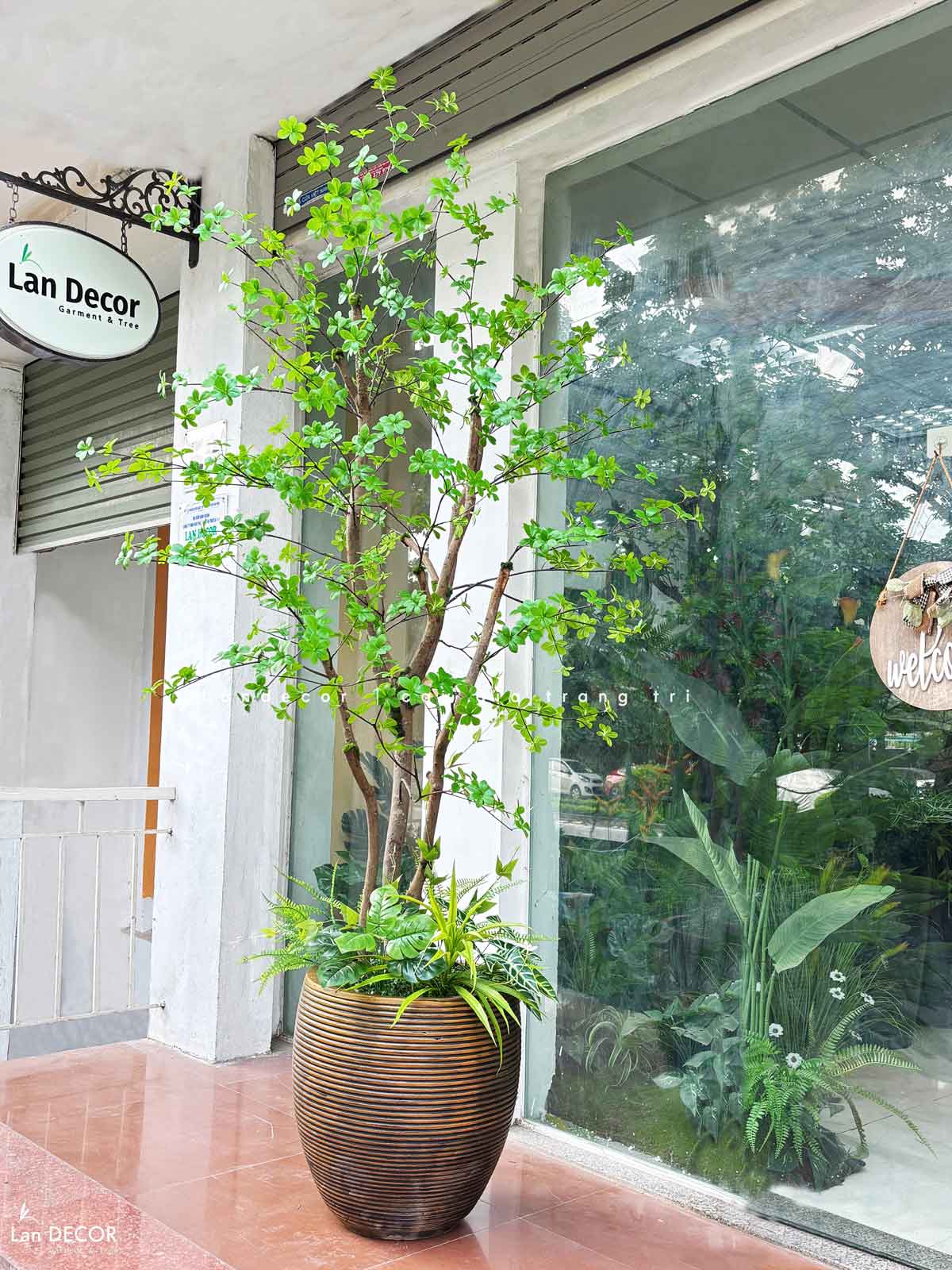 CÂY THẠCH NAM NHẬT BẢN LANDECOR (2M3) - CC665