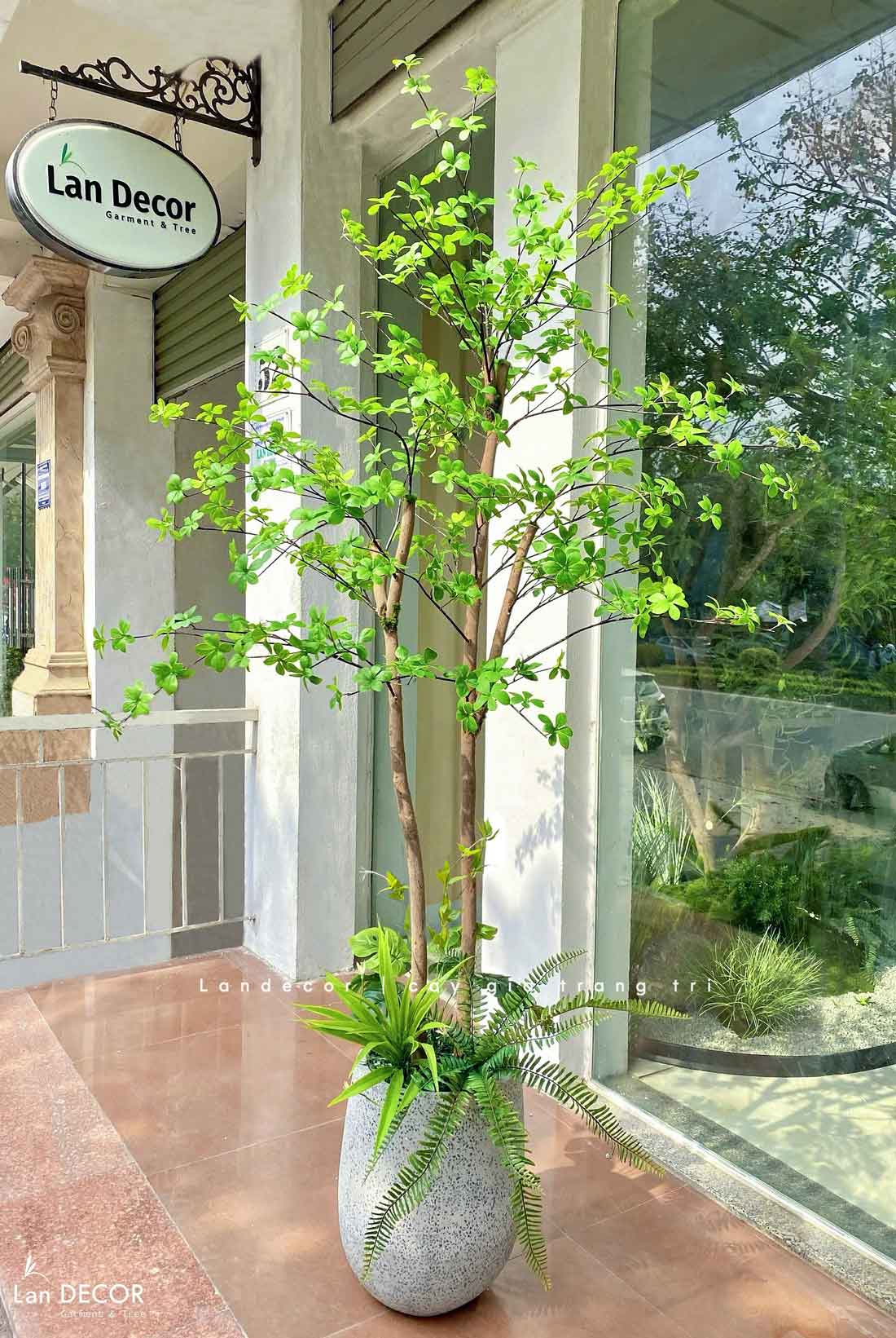 DECOR CÂY THẠCH NAM NHẬT BẢN THIẾT KẾ - CC765