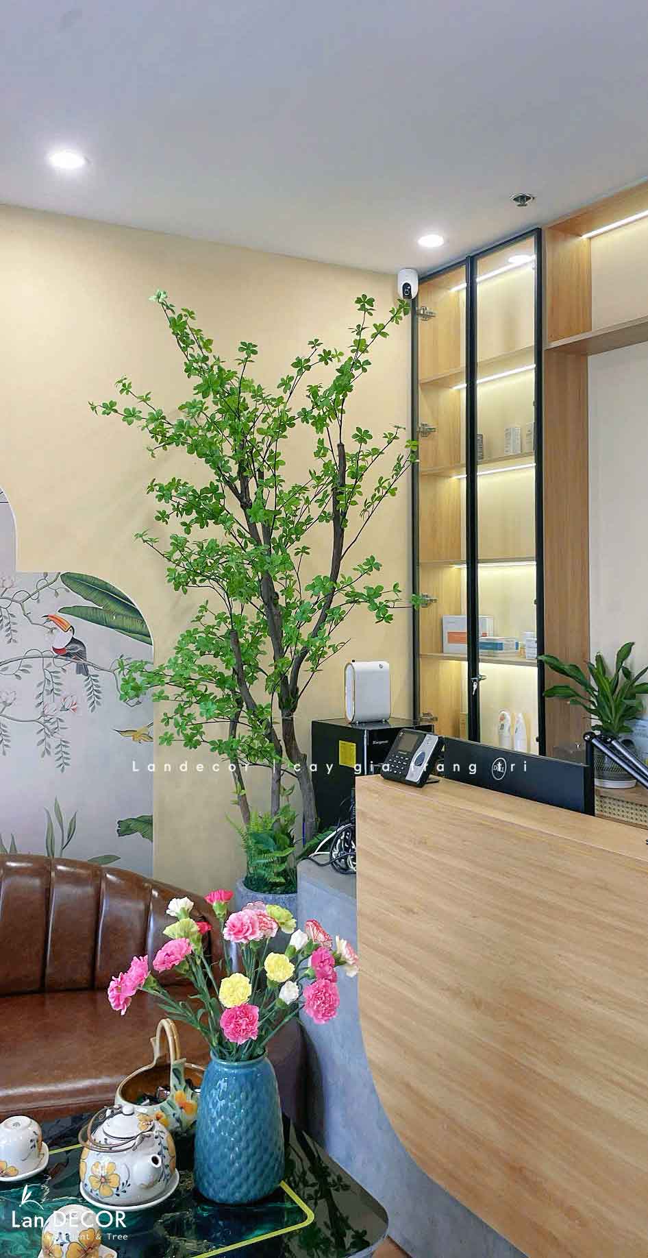 CÂY THẠCH NAM NHẬT BẢN LANDECOR (2M3) - CC665