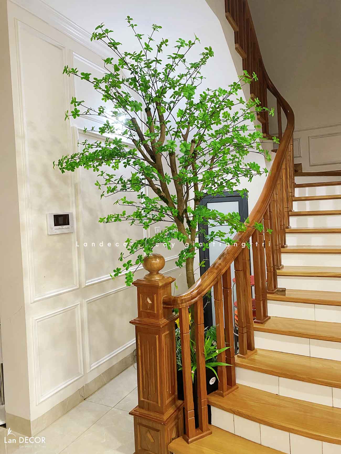 Cây Giả Thiết Kế- Cây Thạch Nam Giả Trang Trí Căn Hộ, Thiết Kế Tiểu Cảnh Theo Không Gian (235cm)- CC1261