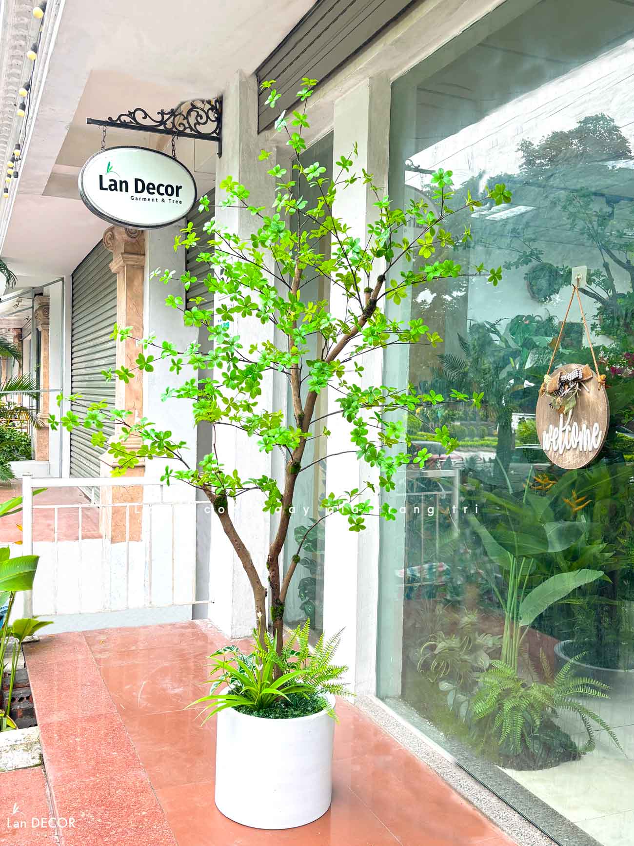 CÂY THẠCH NAM NHẬT BẢN TRANG TRÍ NHÀ TẠO KHÔNG GIAN XANH MÁT (190cm) - CC780