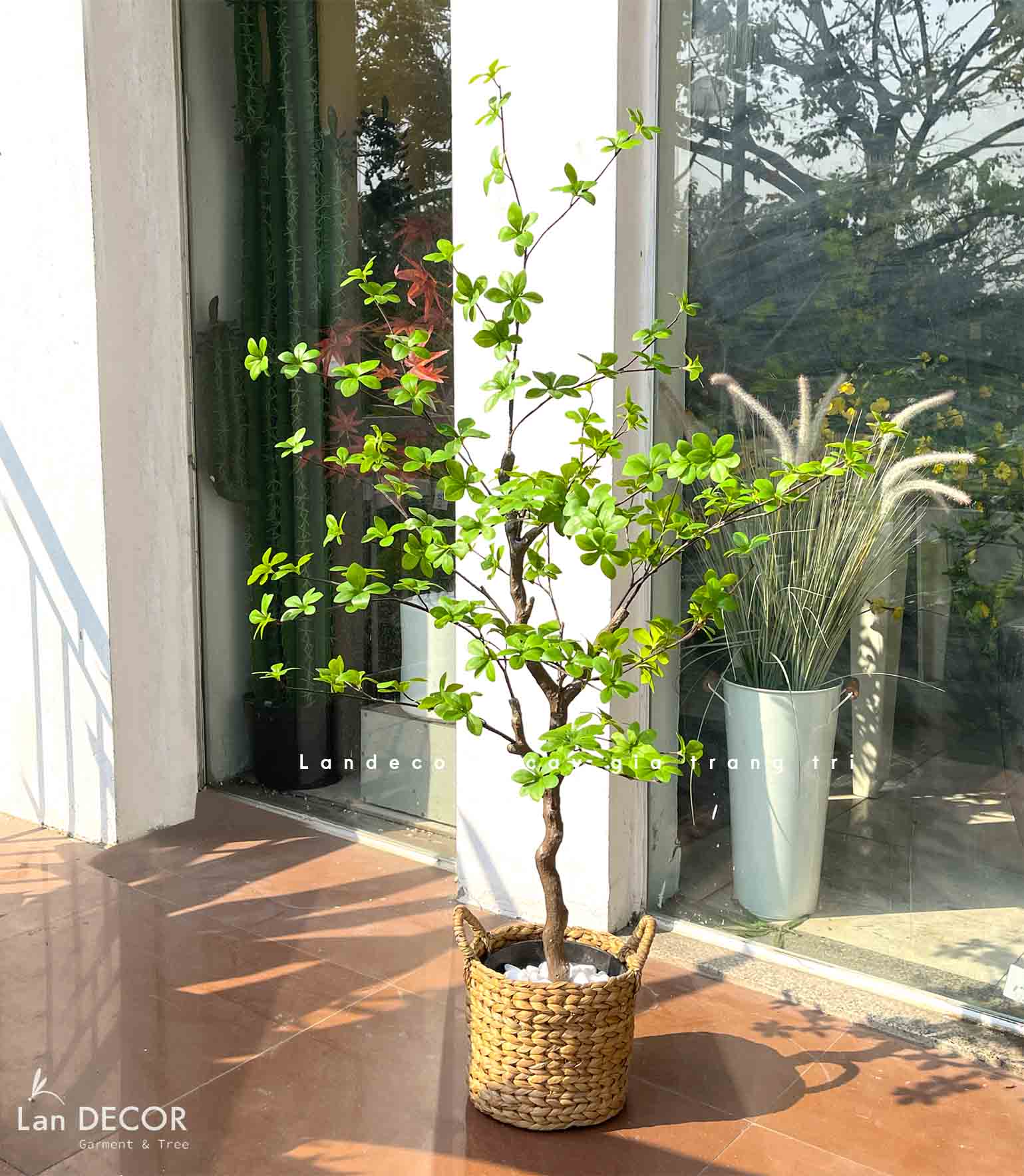 CÂY THẠCH NAM THIẾT KẾ (125CM) - CÂY TRANG TRÍ VĂN PHÒNG, CỬA HÀNG- CC799