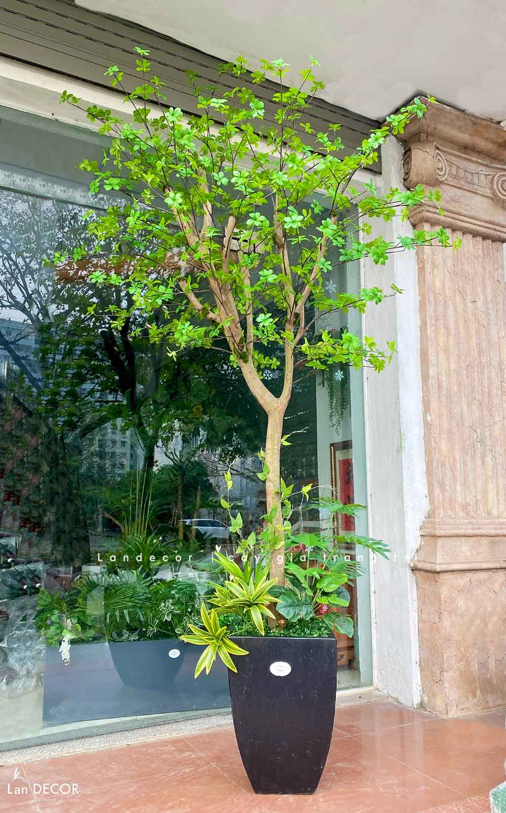 Cây Giả Thiết Kế- Cây Thạch Nam Giả Trang Trí Căn Hộ, Thiết Kế Tiểu Cảnh Theo Không Gian (235cm)- CC1261