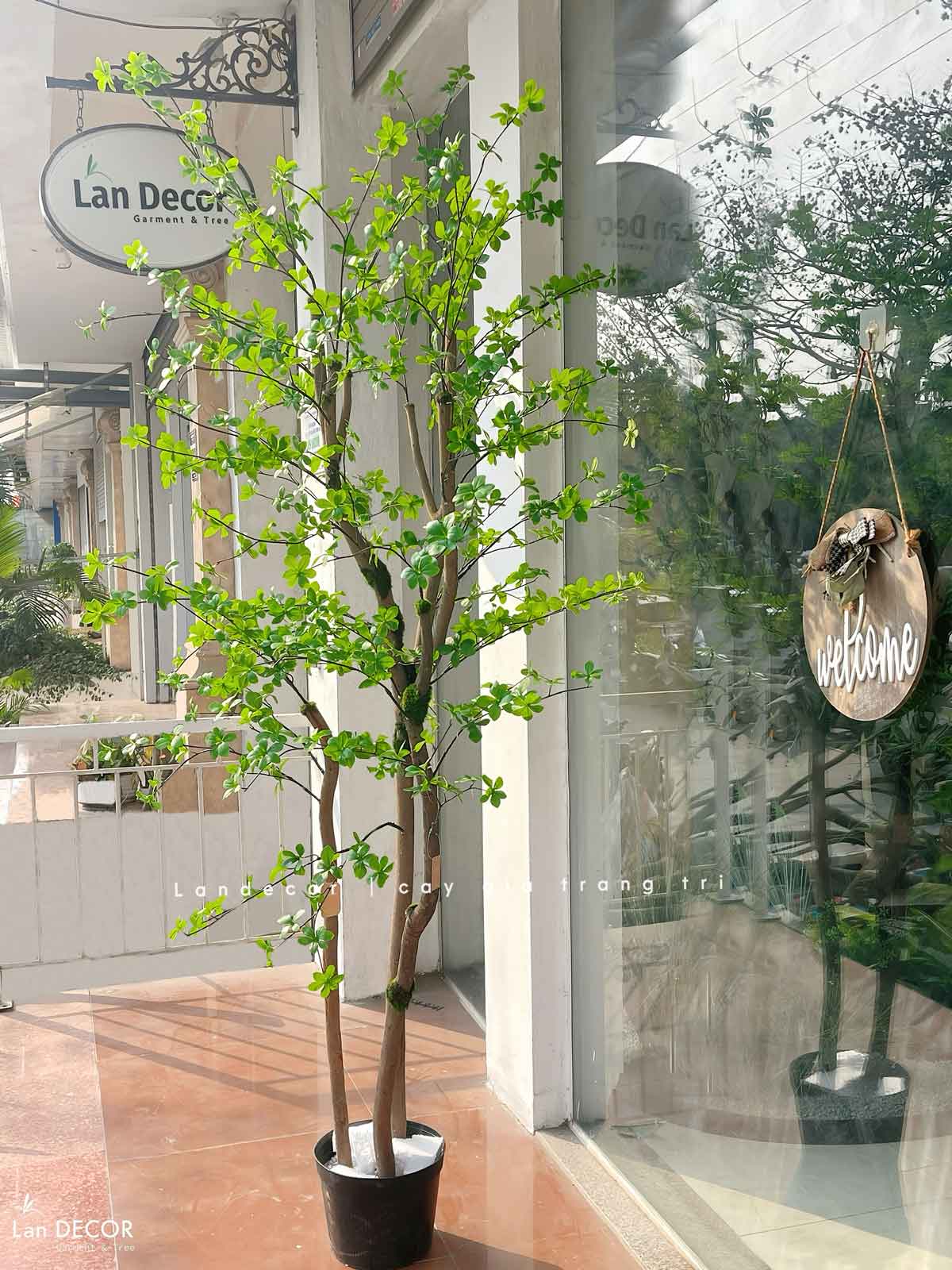 Cây Giả- Cây Thạch Nam Thiết Kế Tiểu Cảnh Khu Vực Trưng Bày (210cm)- CC1259