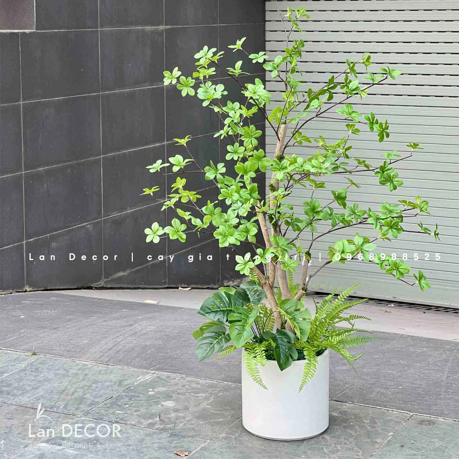 CHẬU CÂY THẠCH NAM THÂN GỖ THIẾT KẾ LAN DECOR (110cm)- CC822