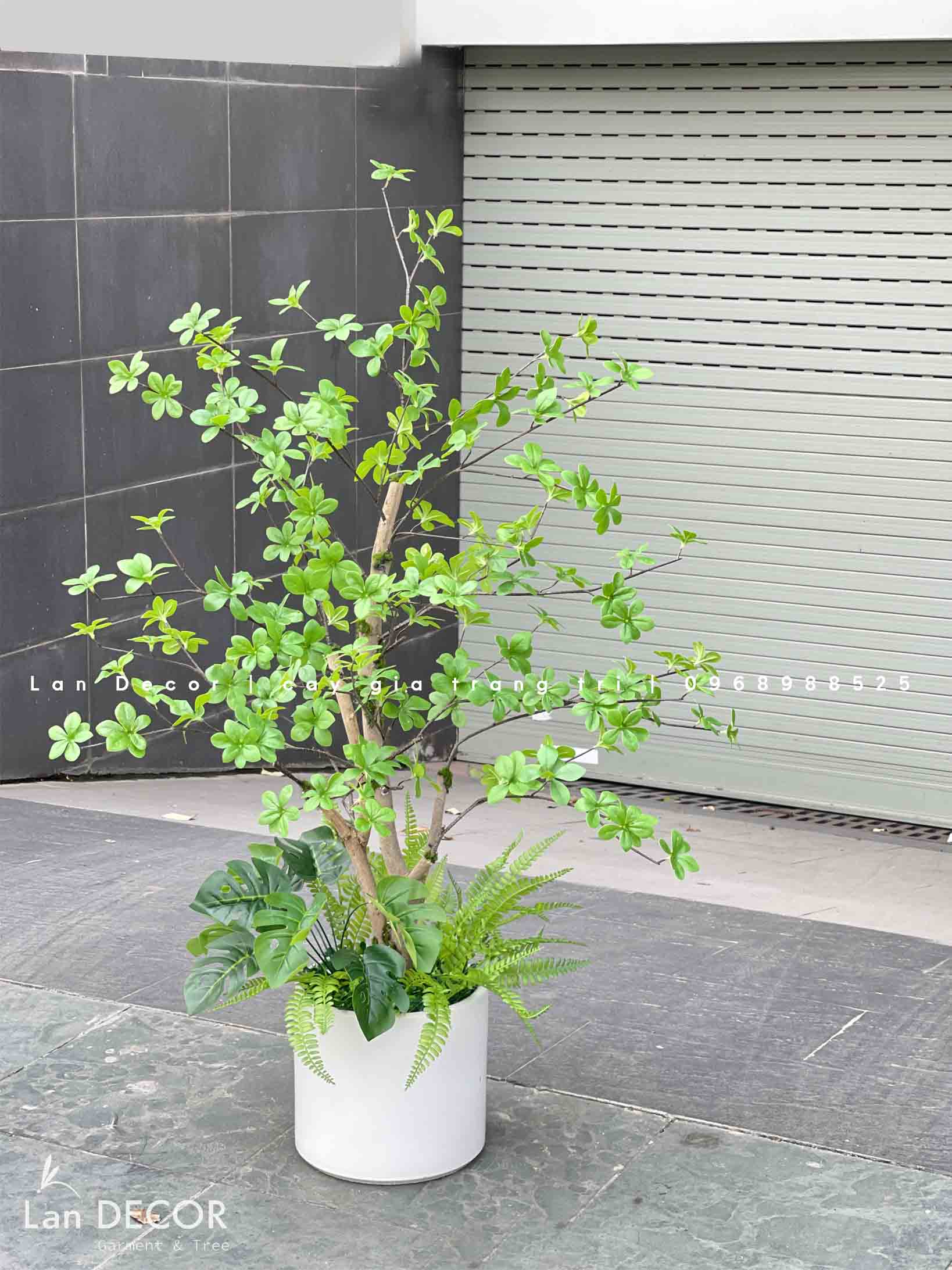 Cành Lá Giả Decor, Cành Thạch Nam Nhật Bản Trang Trí Nhà Đẹp - HC996