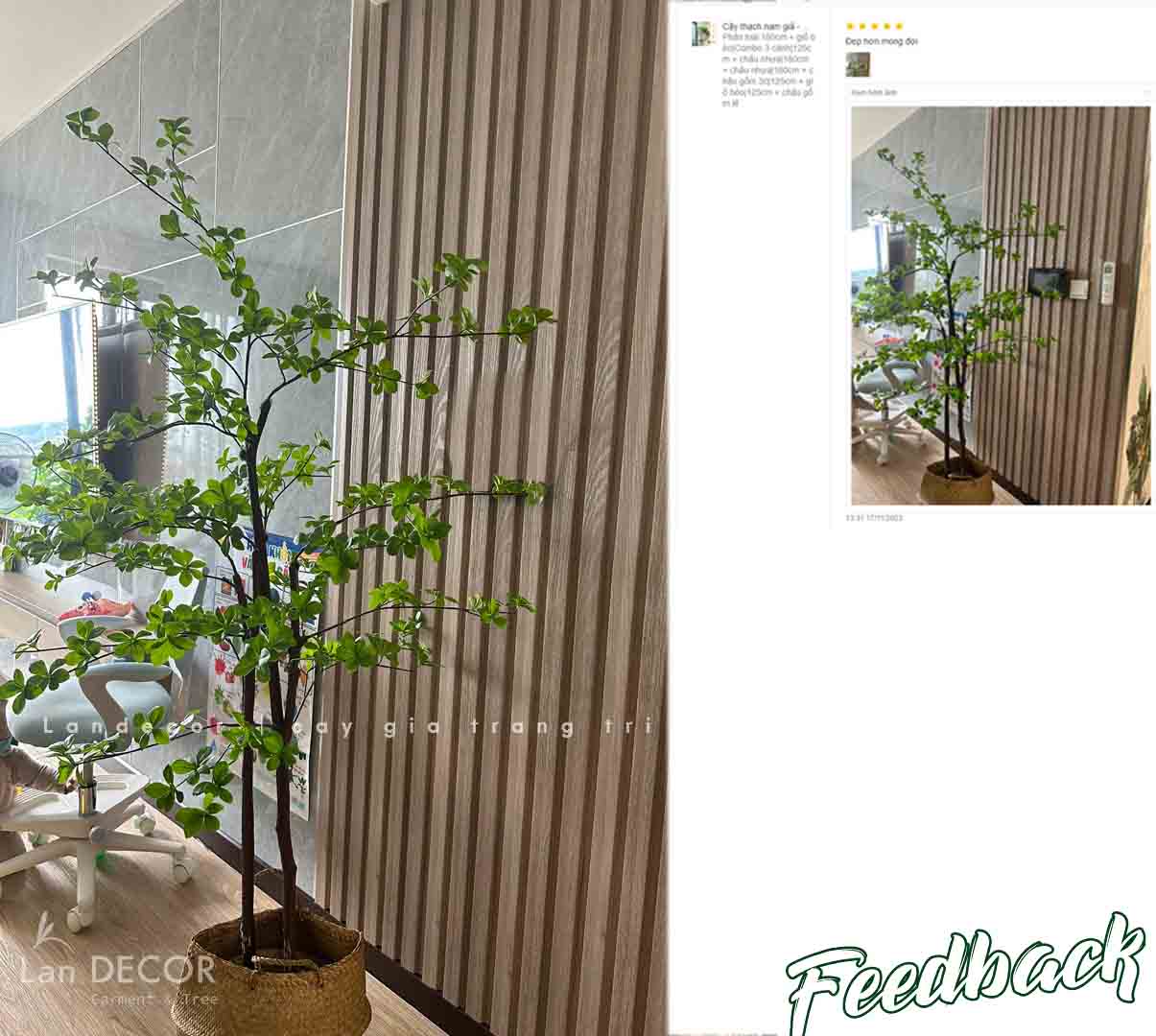 CÂY THẠCH NAM NHẬT BẢN DECOR KHÔNG GIAN NHÀ (190cm)- CC766