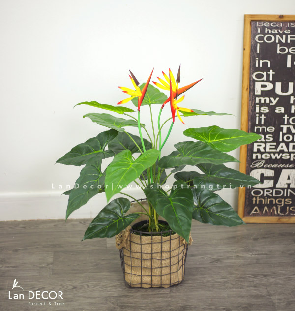 Cây thiên điểu phong cách nhiệt đới Lan Decor 75cm - LC2247