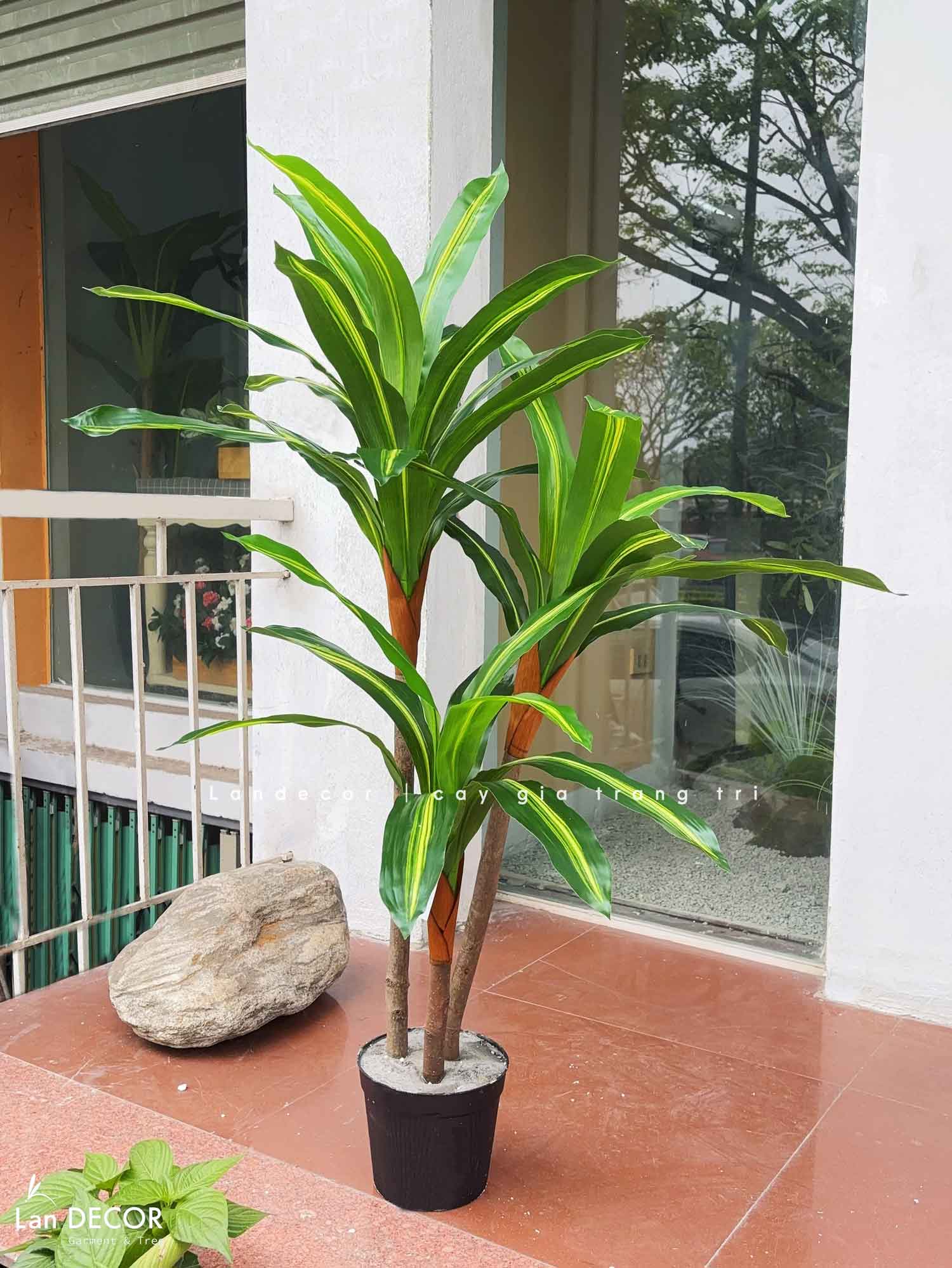 Cây Giả Decor- Cây Thiết Mộc Lan Giả Decor Cửa Hiệu (120cm)- LC2682
