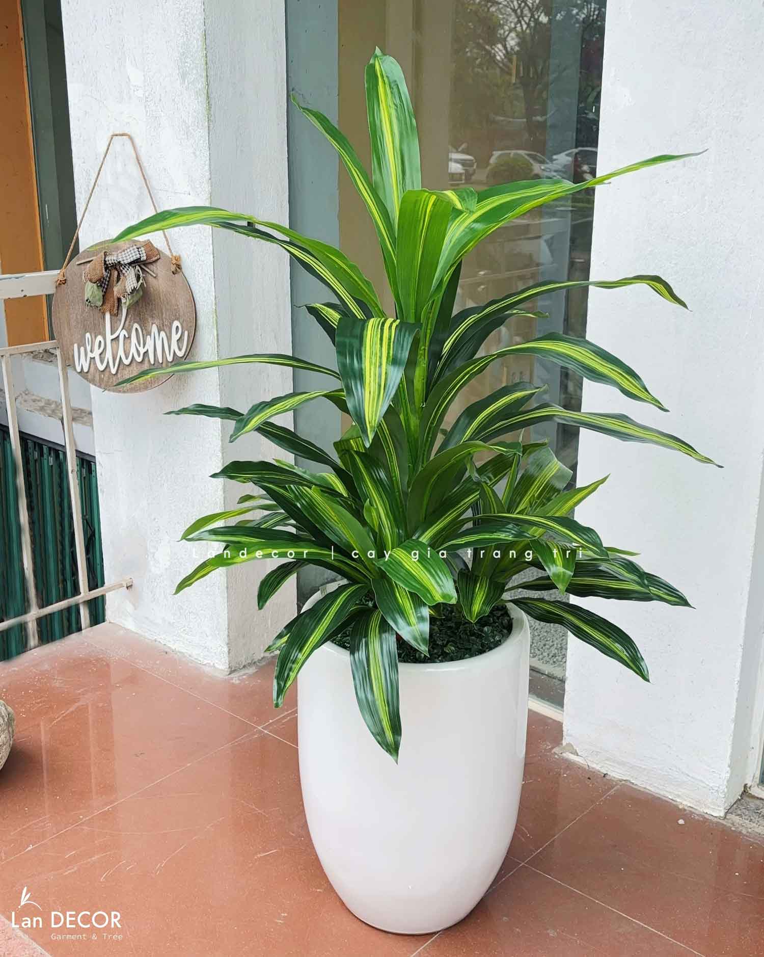 Cây Giả Decor- Cây Thiết Mộc Lan Giả Tiểu Cảnh (90cm)- LC2398