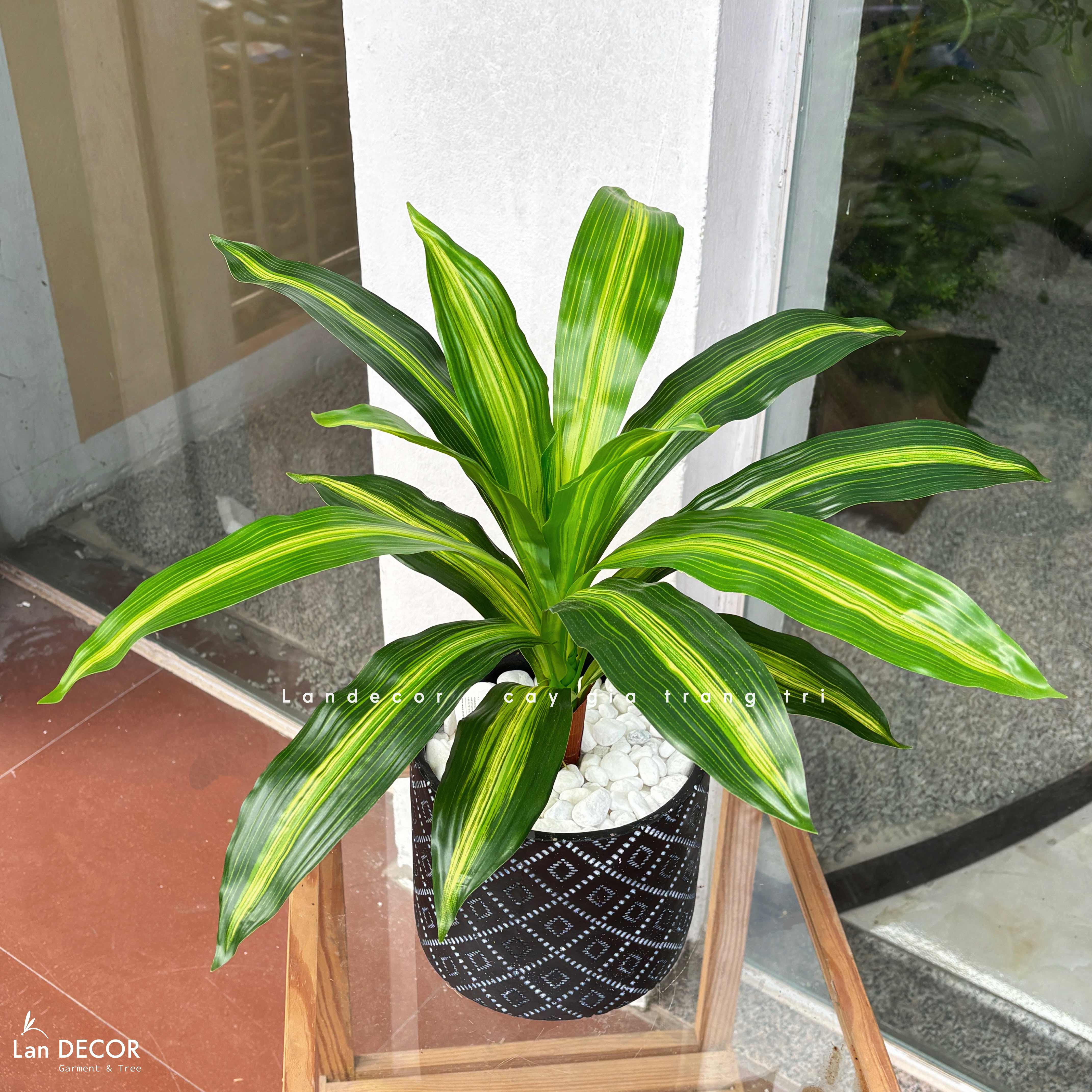 Cây Giả Trang Trí- Cây Thiết Mộc Lan Giả Decor Không Gian Sống Xanh (40cm)- LC2595-1