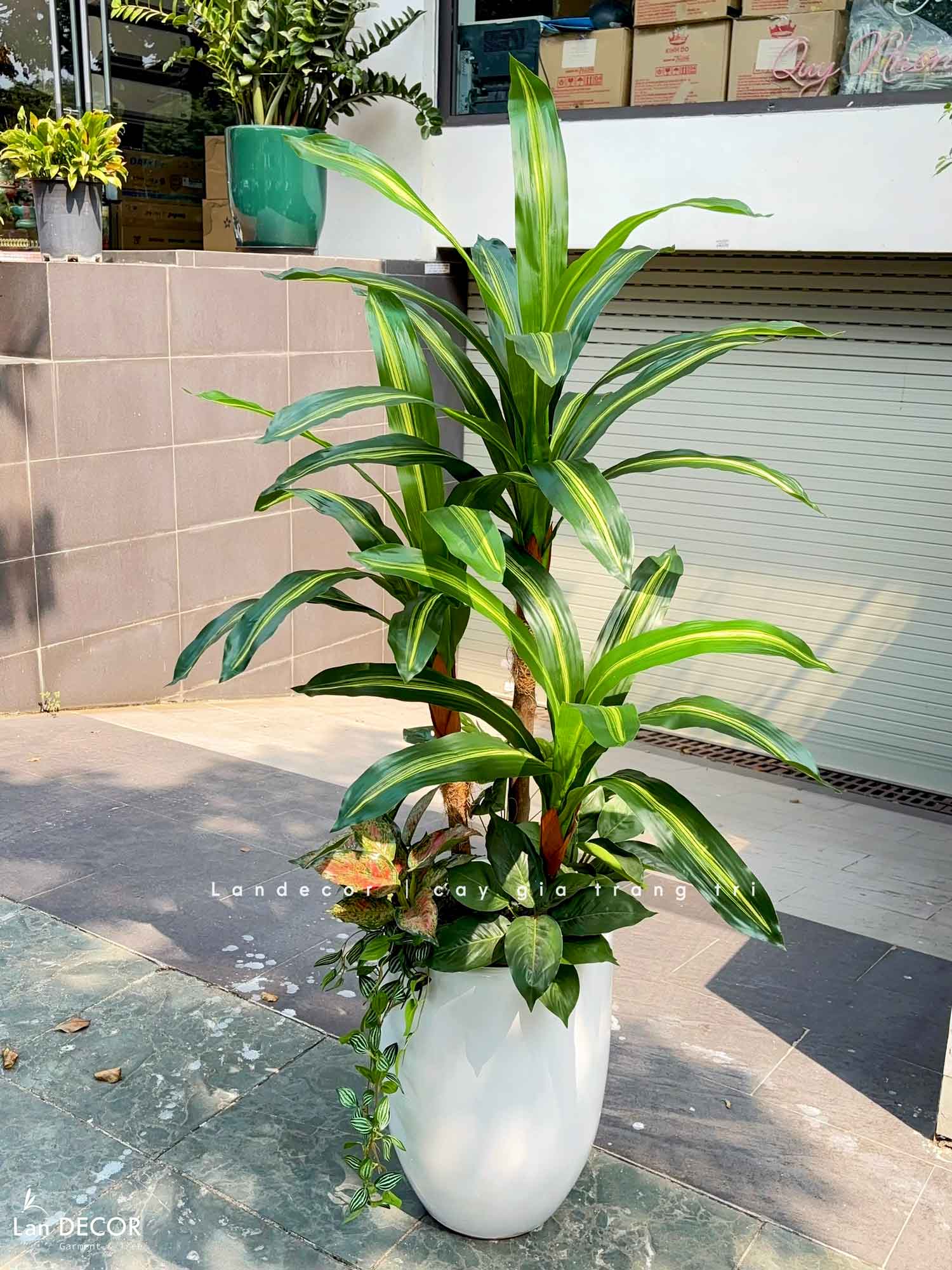 Cây Giả Decor- Cây Thiết Mộc Lan Giả Decor Cửa Hiệu (120cm)- LC2682