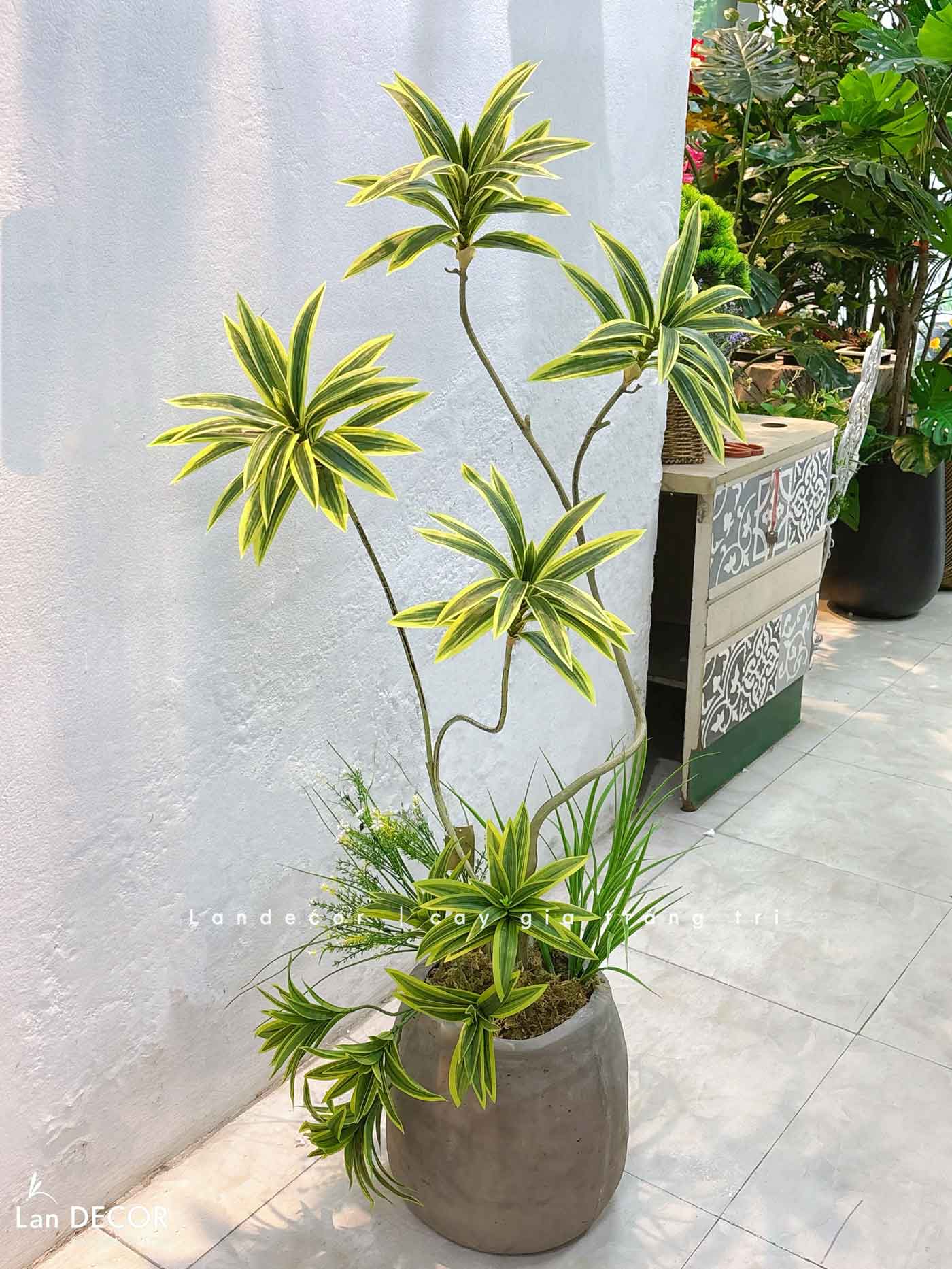 Cây Lá Giả- Cây Thiết Mộc Lan Giả 4 Nhánh Trang Trí Căn Hộ Kiểu Mới (150cm)- LC3736-vàng