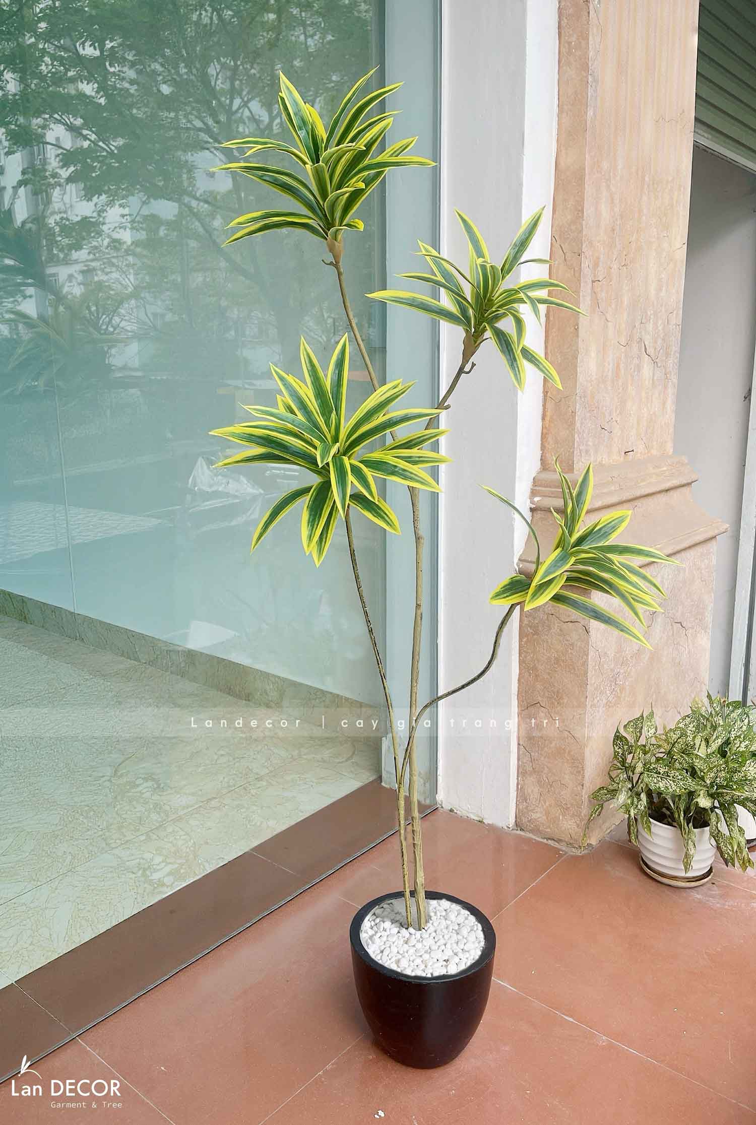 Cây Lá Giả- Cây Thiết Mộc Lan Giả 4 Nhánh Trang Trí Căn Hộ Kiểu Mới (150cm)- LC3736-vàng