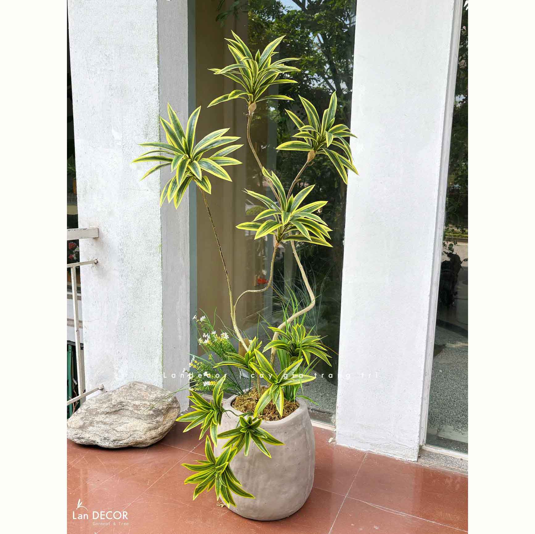 Cây Lá Giả- Cây Thiết Mộc Lan Giả 4 Nhánh Trang Trí Căn Hộ Kiểu Mới (150cm)- LC3736-vàng