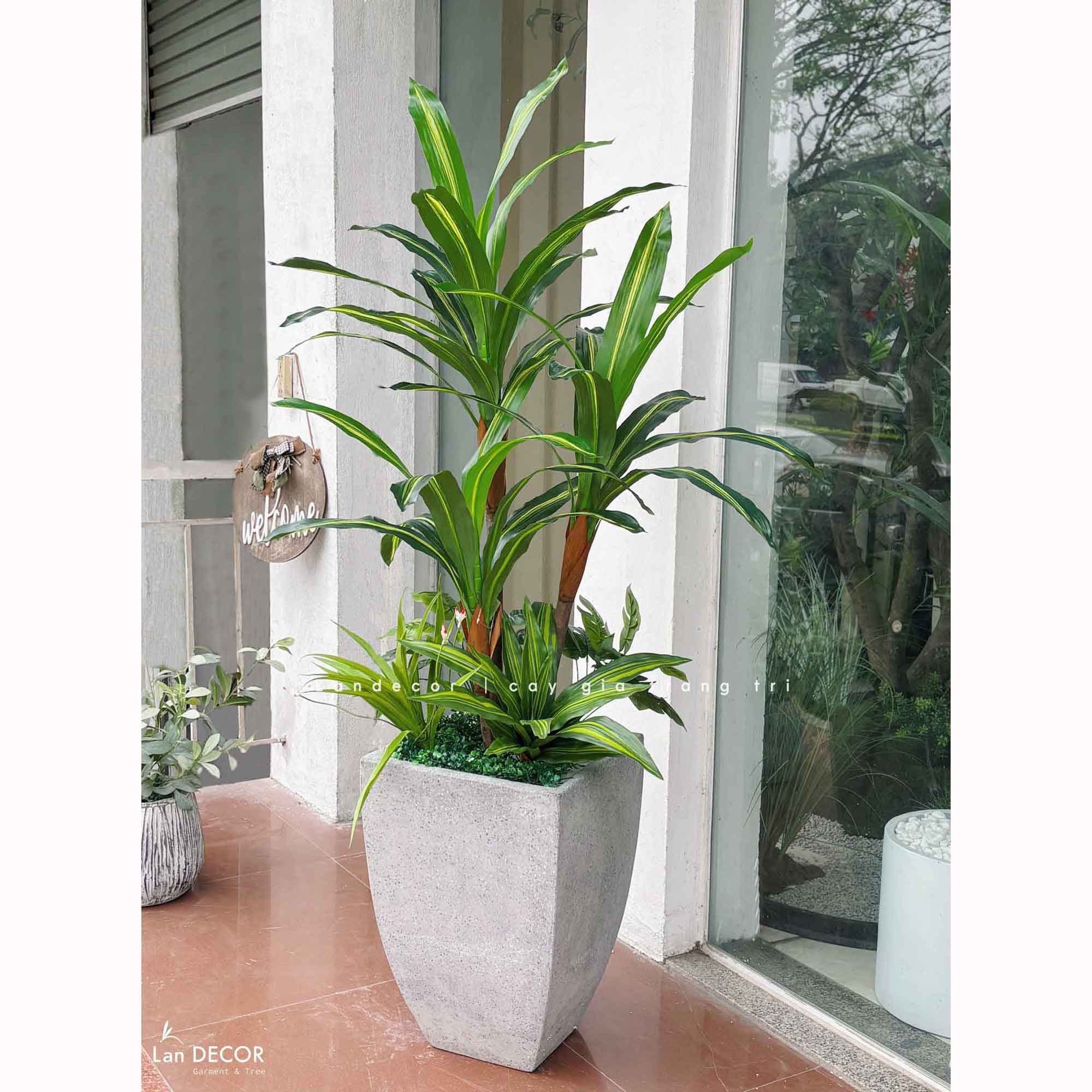 Cây Giả Decor- Cây Thiết Mộc Lan Giả Decor Cửa Hiệu (120cm)- LC2682