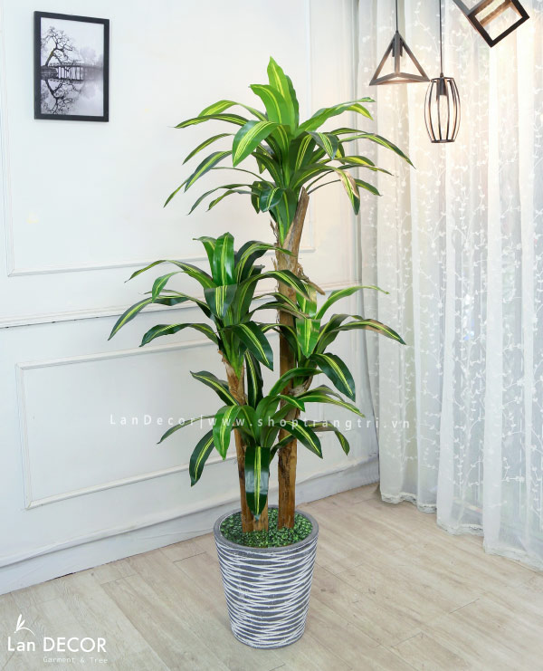 cay-thiet-moc-landecor