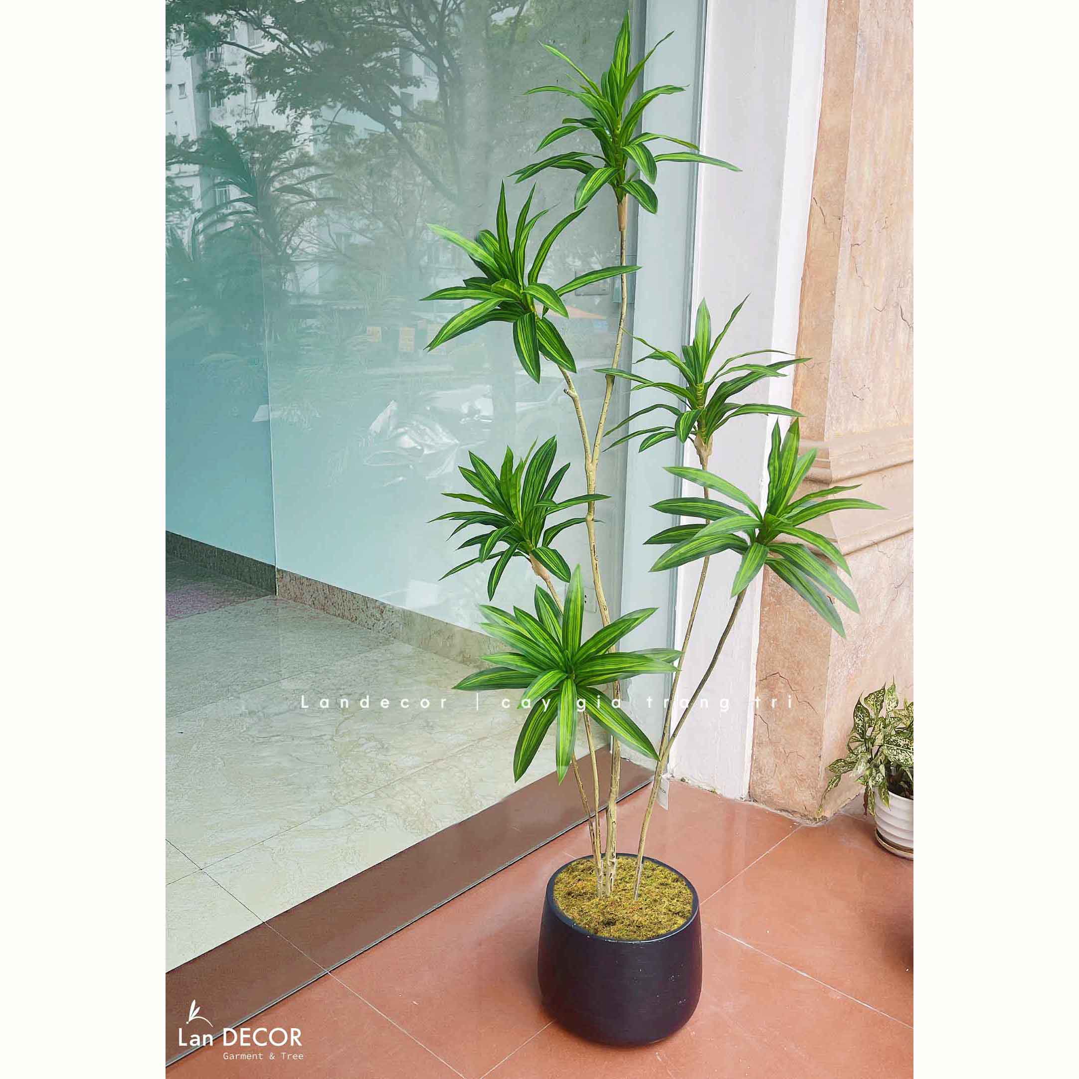 Cây Giả Trang Trí- Cây Thiết Mộc Lan Giả Decor Không Gian Độc Đáo (160cm)- LC3737-1-XANH