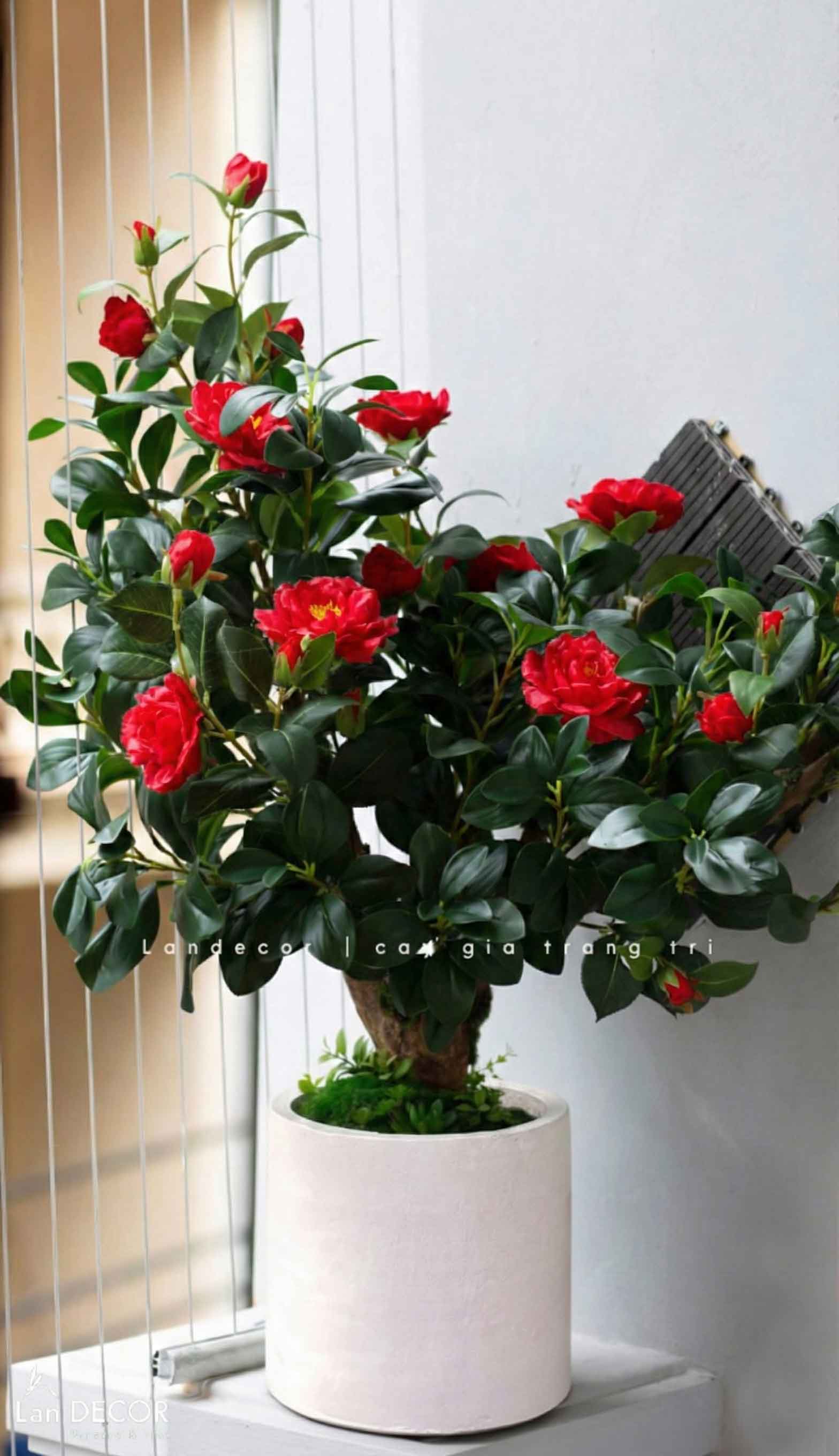 Hoa Trà Giả- Cây Hoa Trà Decor Nội Thất Thanh Lịch, Hiện Đại - CC072