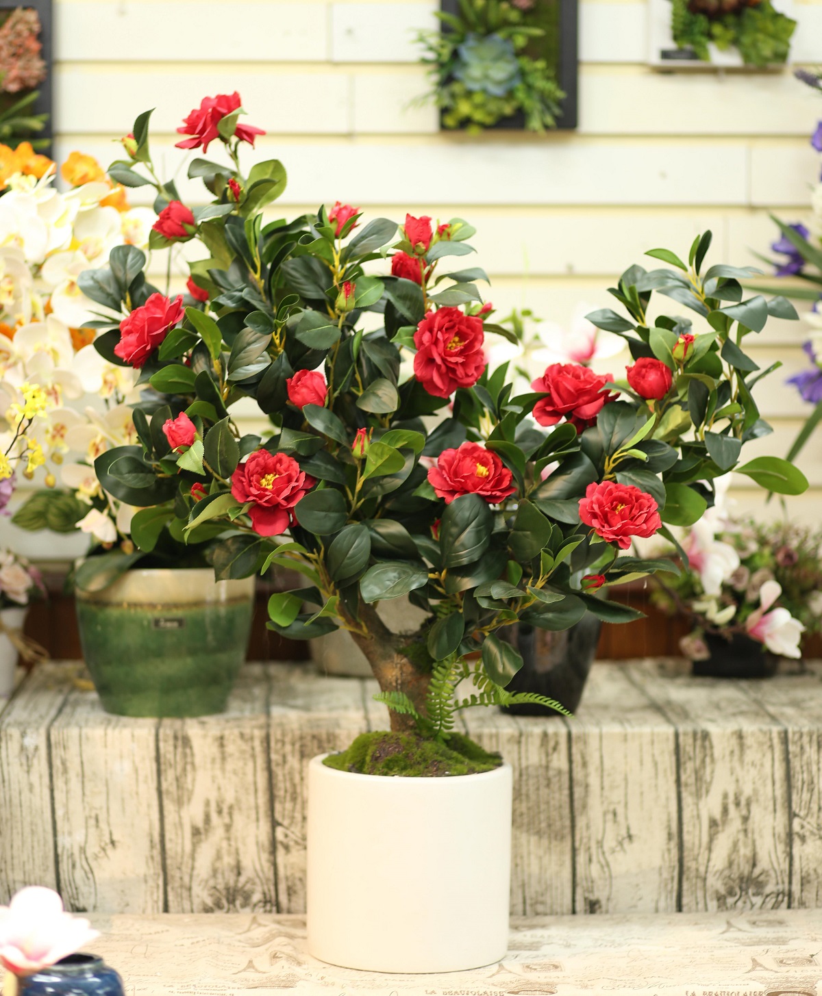 Chậu cây trà đỏ trang trí đẹp Lan Decor - CC081