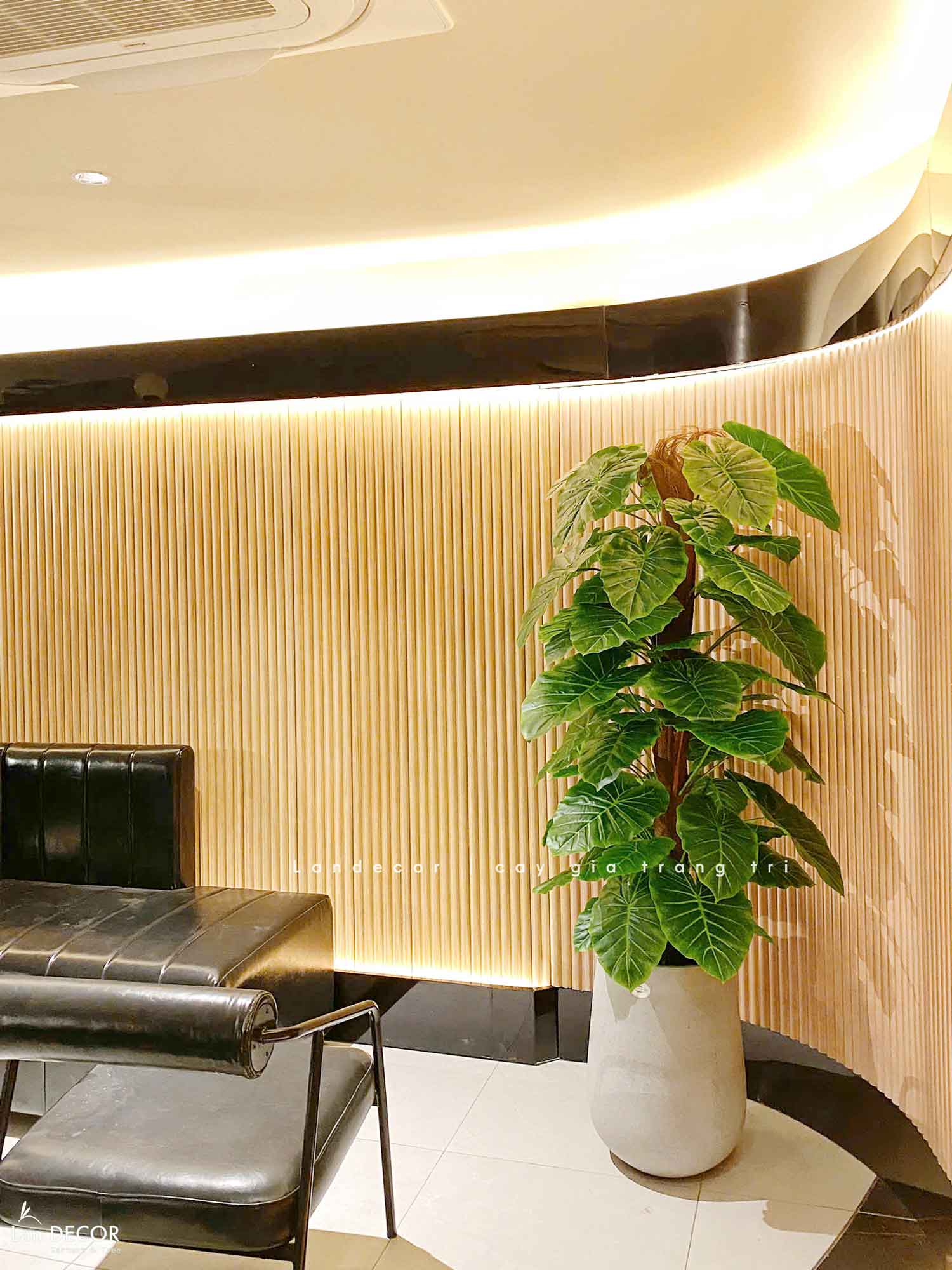 CÂY TRẦU BÀ CỘT TRANG TRÍ NỘI THẤT ĐẸP (145cm) - LC1992-1