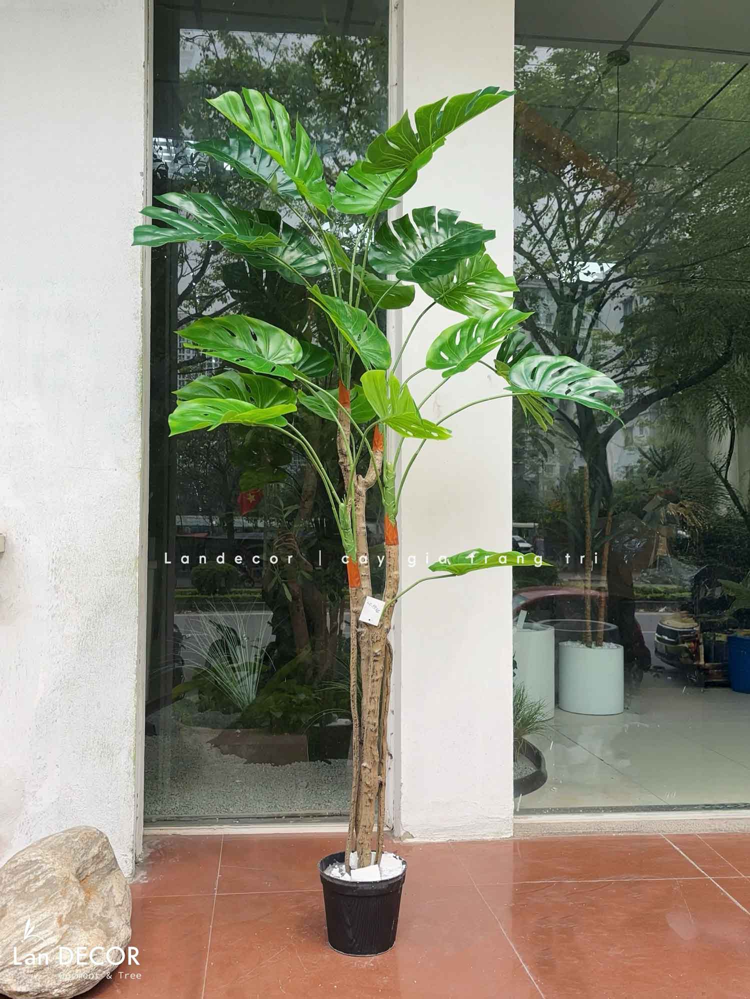 Cây Giả Trang Trí- Cây Trầu Bà Nam Mỹ Giả Trang Trí Nội Thất Phong Cách Tropical (170cm)- LC3536