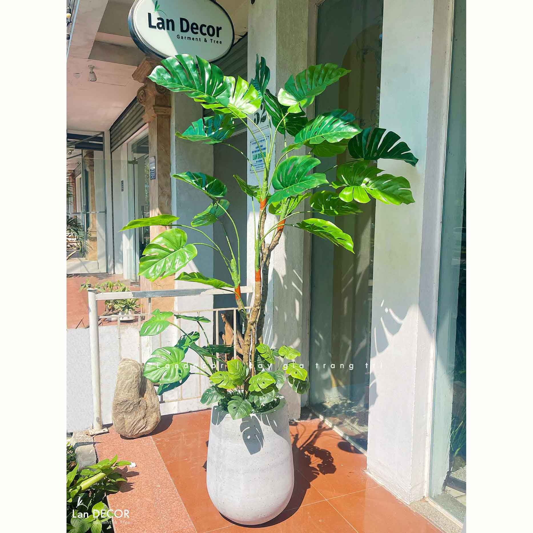 Cây Giả Decor- Cây Trầu Bà Nam Mỹ Thiết Kế Nội Thất Hiện Đại, Độc Đáo (155cm)- LC3535