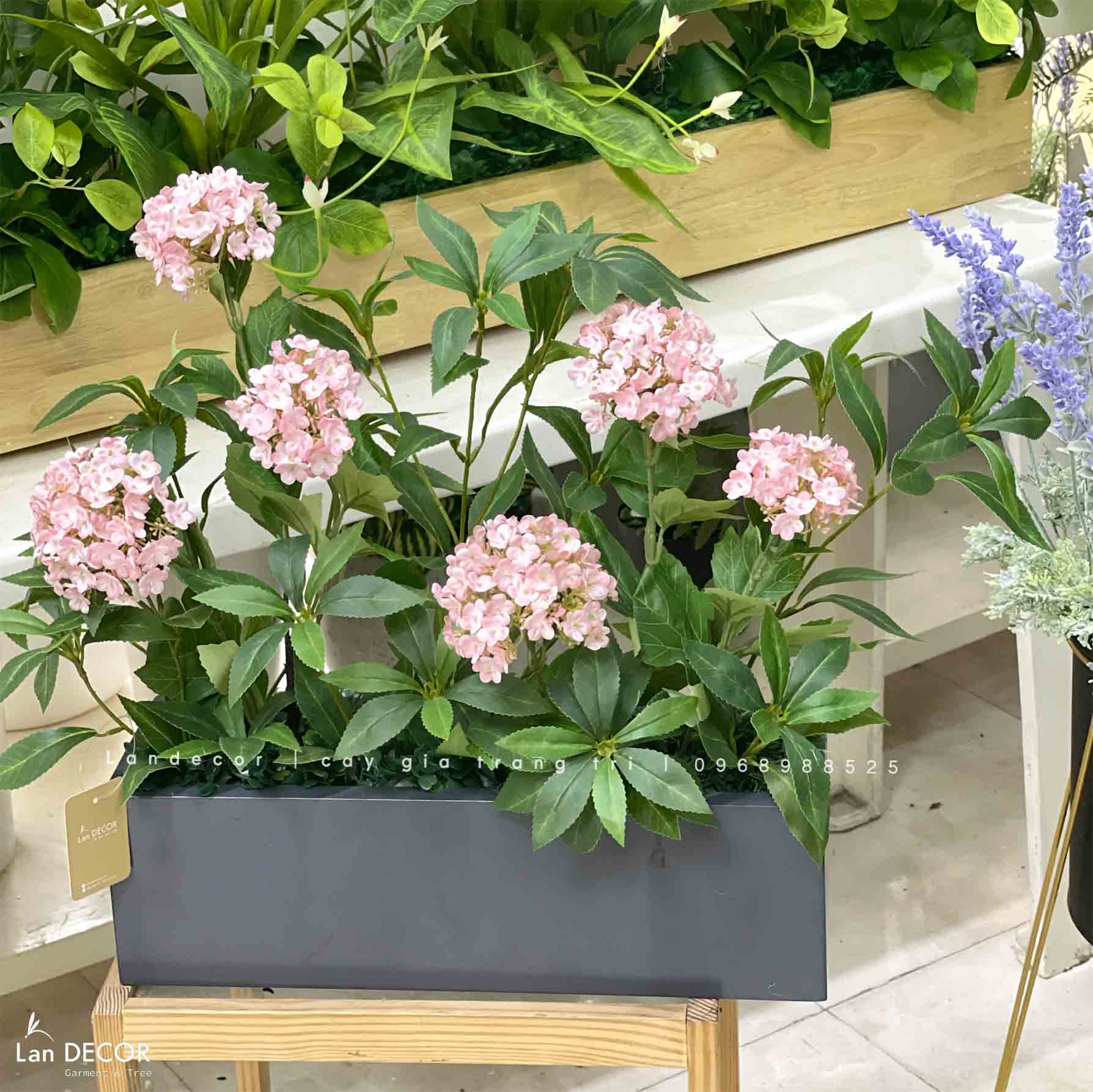 Bồn hoa tú cầu decor nhà vintage- CC908