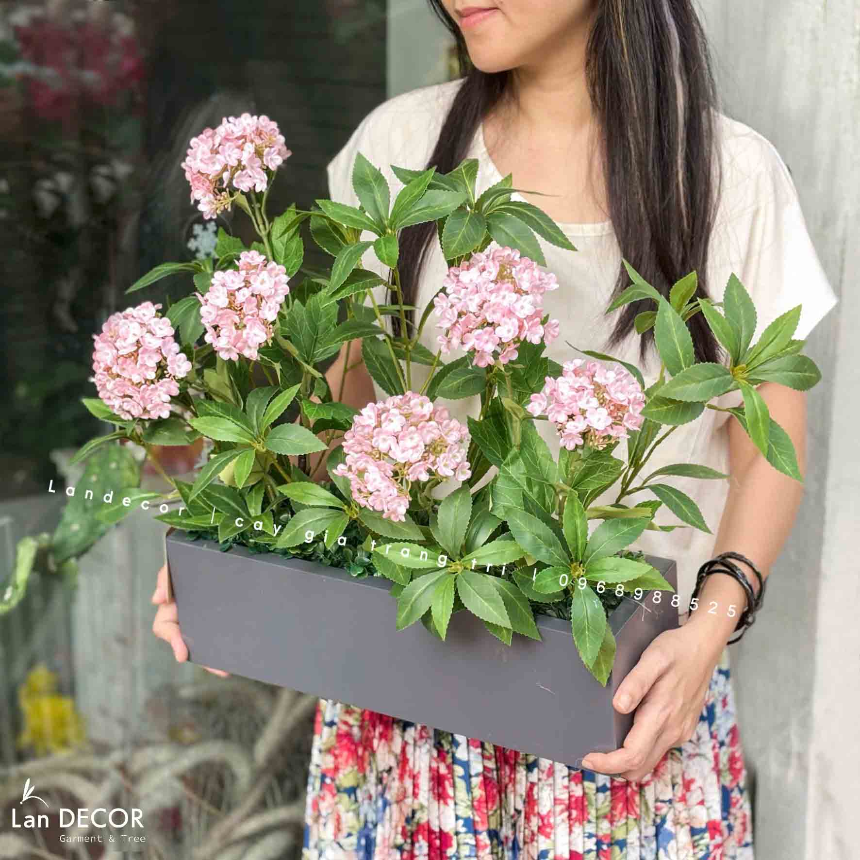 Bồn hoa tú cầu decor nhà vintage- CC908