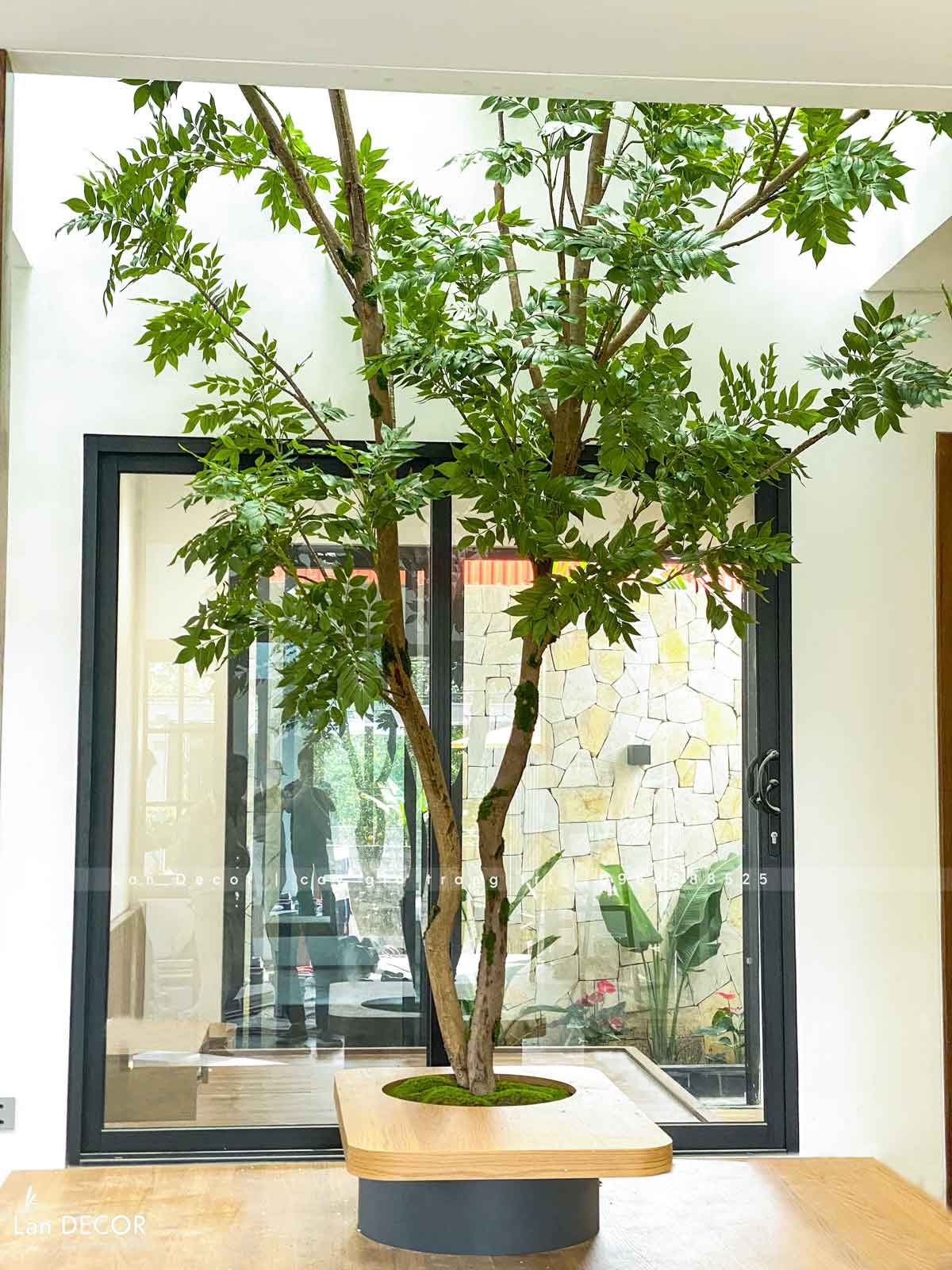 Cành Lá Giả - Cành Ưng Bất Bạc Giả Trang Trí, Thiết Kế Cây Giả Tiểu Cảnh (110cm)- HC1306