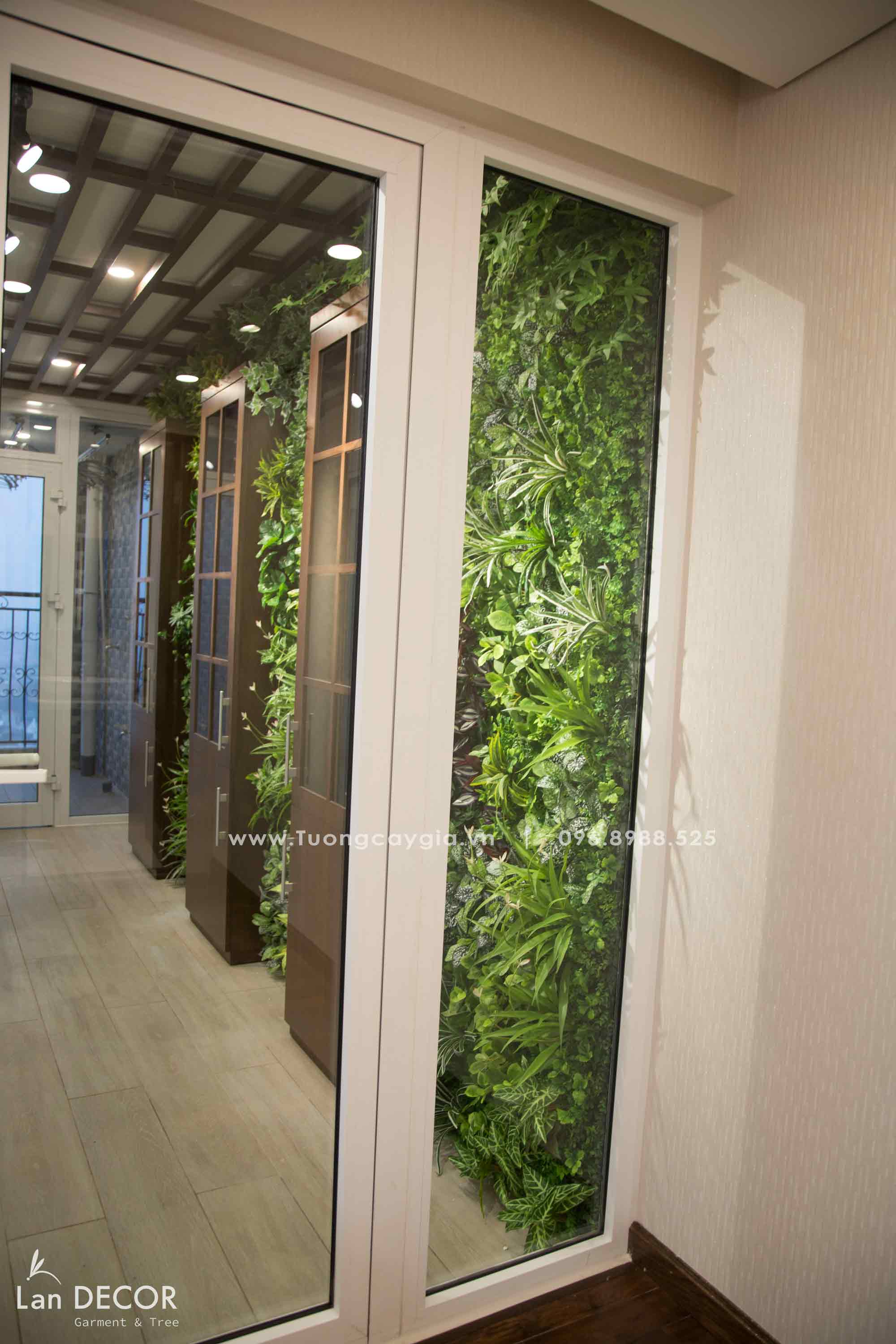 CÔNG TRÌNH TƯỜNG CÂY HỖN HỢP GỬI CHỊ BÌNH AQUA YÊN PHỤ - TC301