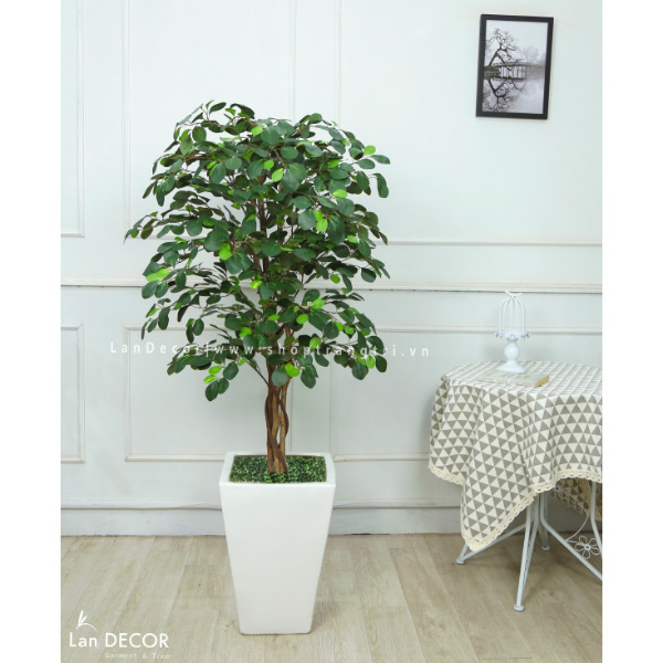 Cây tâm phúc trang trí nhà đẹp Lan Decor (125cm) - LC2240