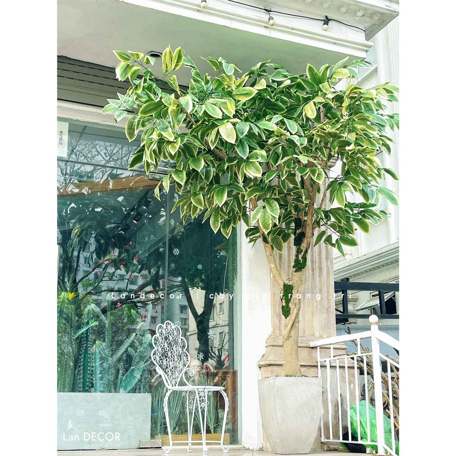 Cây Giả Trang Trí- Cây Khế Trang Trí Cửa Hiệu Ấn Tượng - CC1049