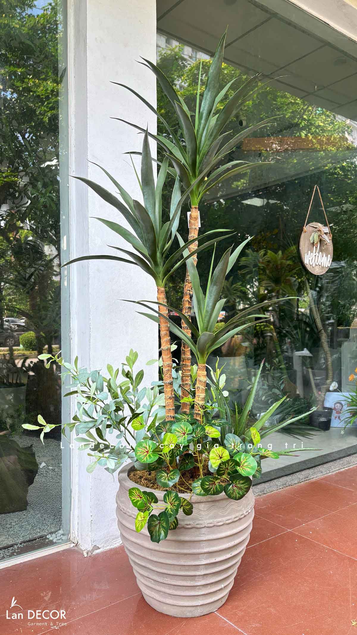 Cây Giả Tiểu Cảnh- Cây Yucca Giả Trang Trí Cửa Hiệu Độc Đáo (160cm)- LC3866