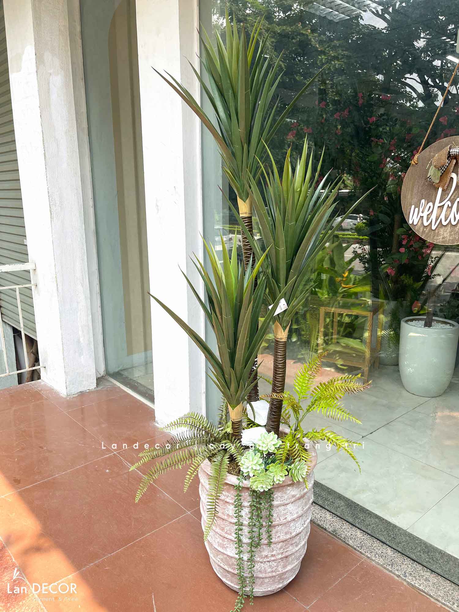 Cây phát tài núi Lan decor - cây giả trang trí 1,5m - LC3005