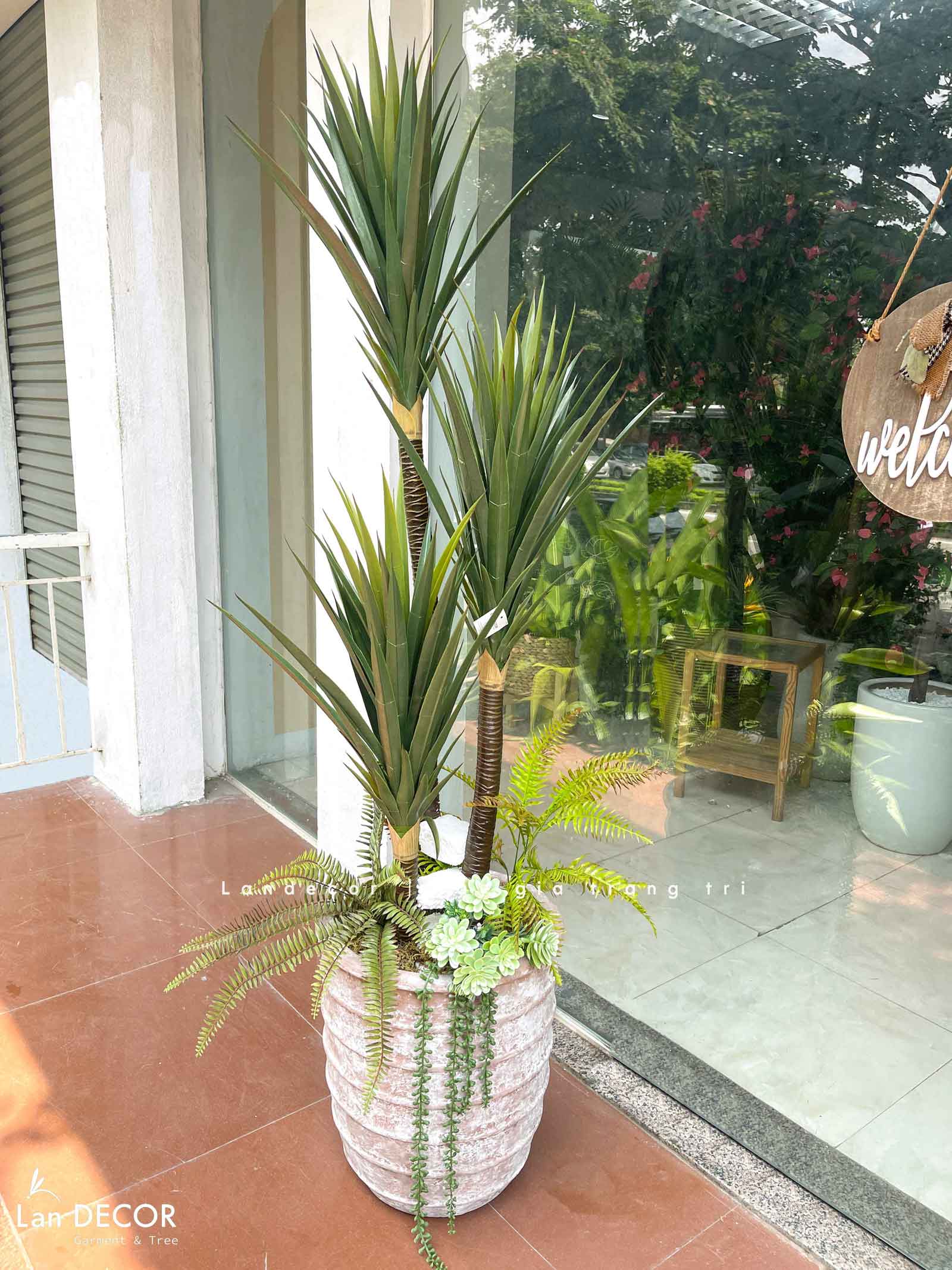 Cây phát tài núi Lan decor - cây giả trang trí 1,5m - LC3005