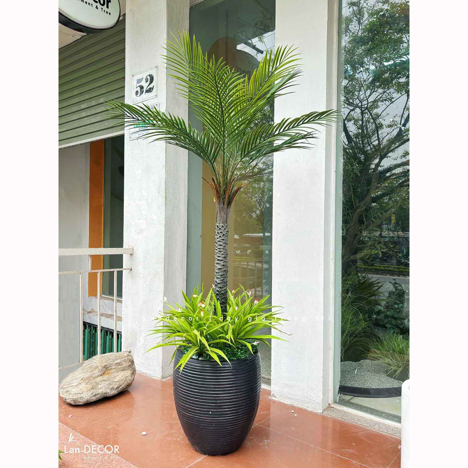 Dừa Cảnh Giả - Cây Dừa Nam Phi Giả Decor Cửa Hiệu, Điểm Nhấn Không Gian Xanh (150cm)- LC3567-150cm