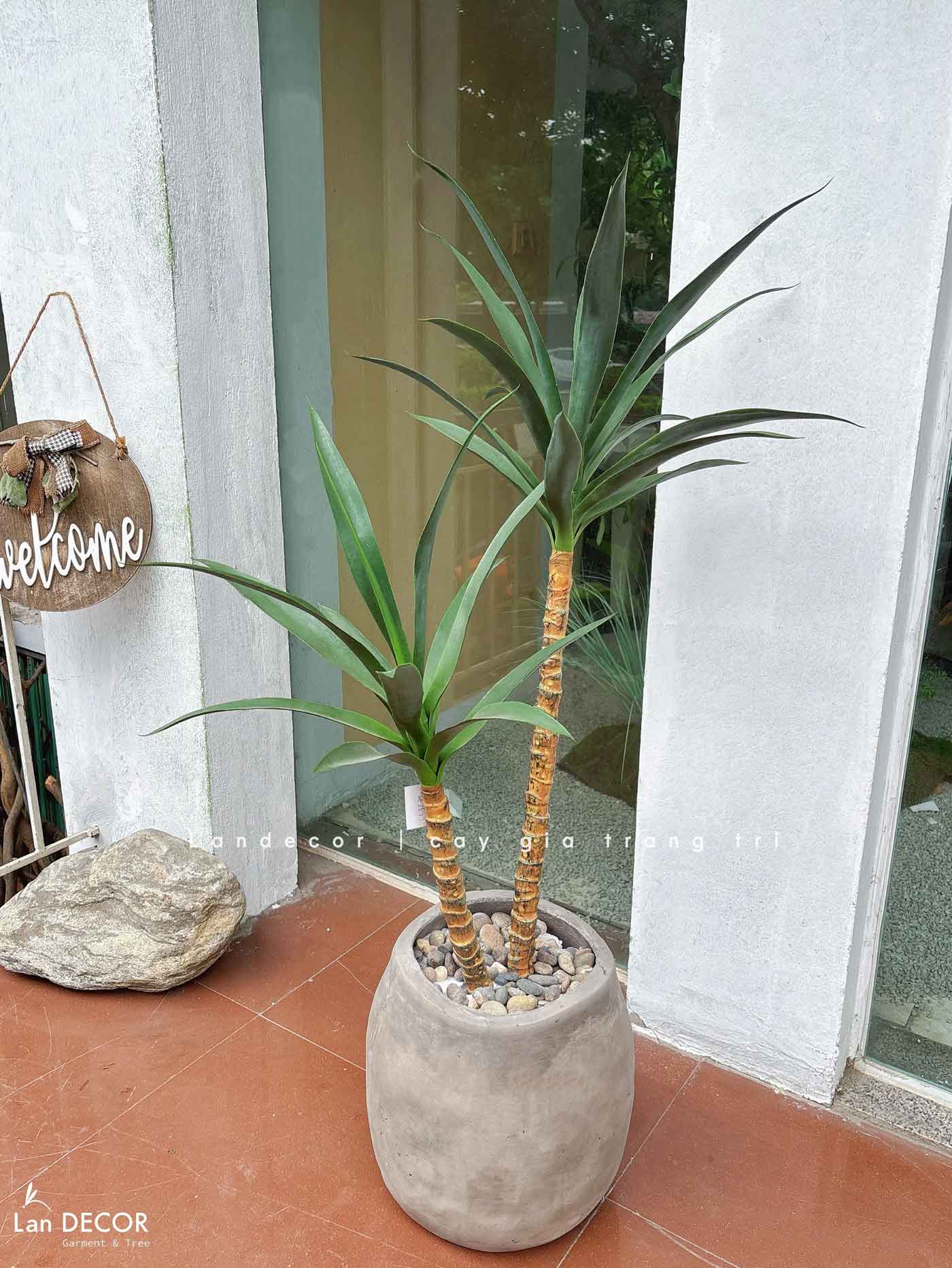 Cây Yucca trang trí Lan decor - cây giả trang trí 100cm - LC3275