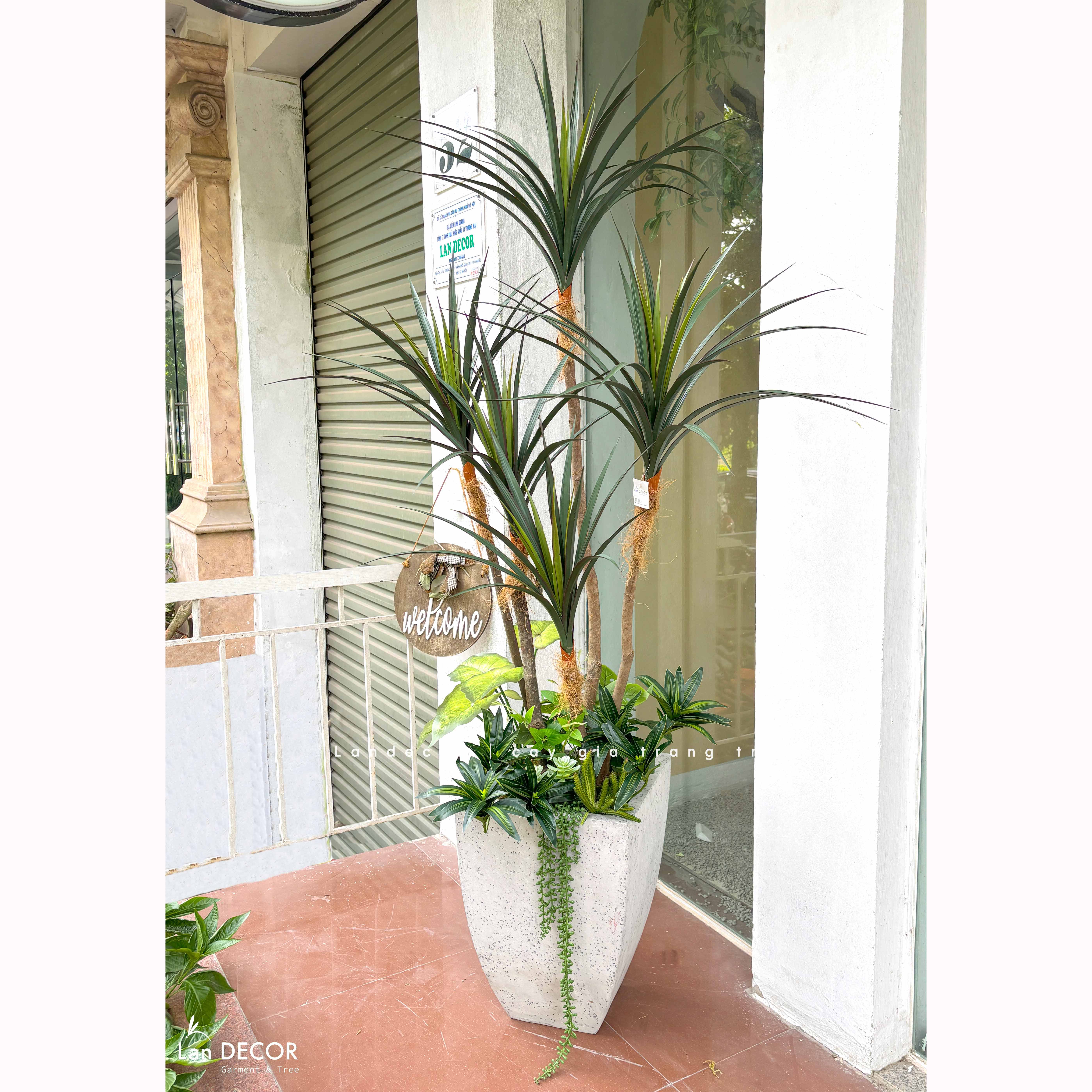 Cây Giả Decor- Cây Yucca Giả Decor Quán Cafe Phong Cách Nhiệt Đới (160cm)- LC3786